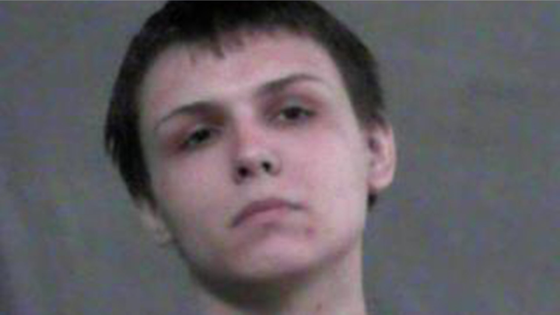 Ryan Michael Stepanian, 25, was arrested in connection to two bank robberies in West Virginia.