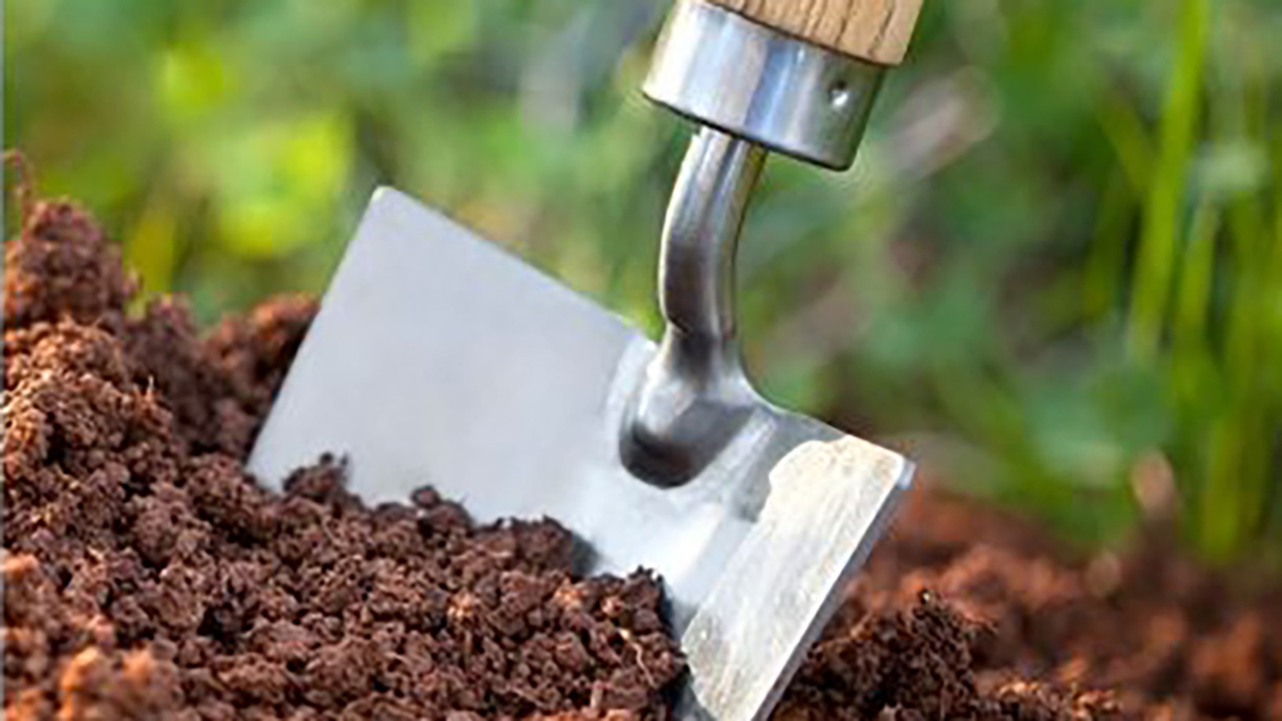 A teen will be forced to clean up animal manure after knocking over a portable toilet.