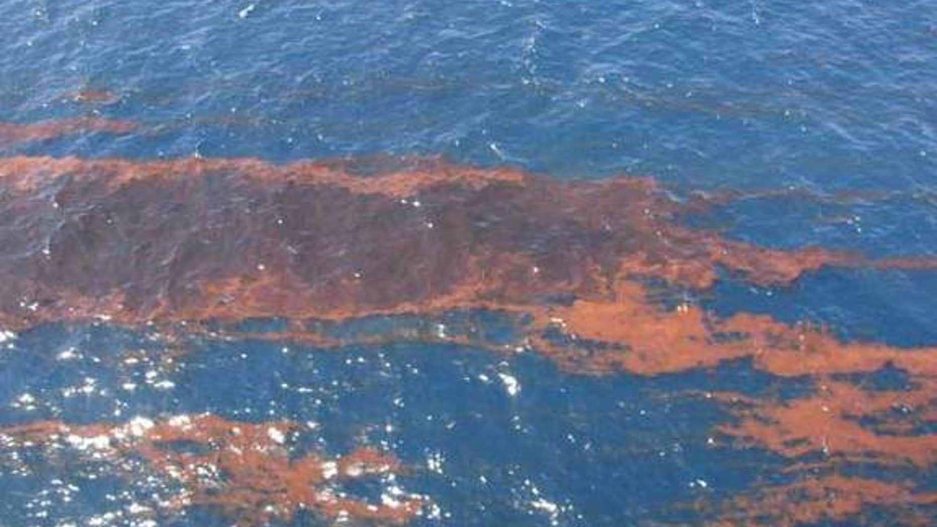 This photograph shows windrows of emulsified oil (bright orange) sprayed w/dispersant. The photo taken on April 26, 2010 as part of an aerial observation overflight. Credit NOAA.