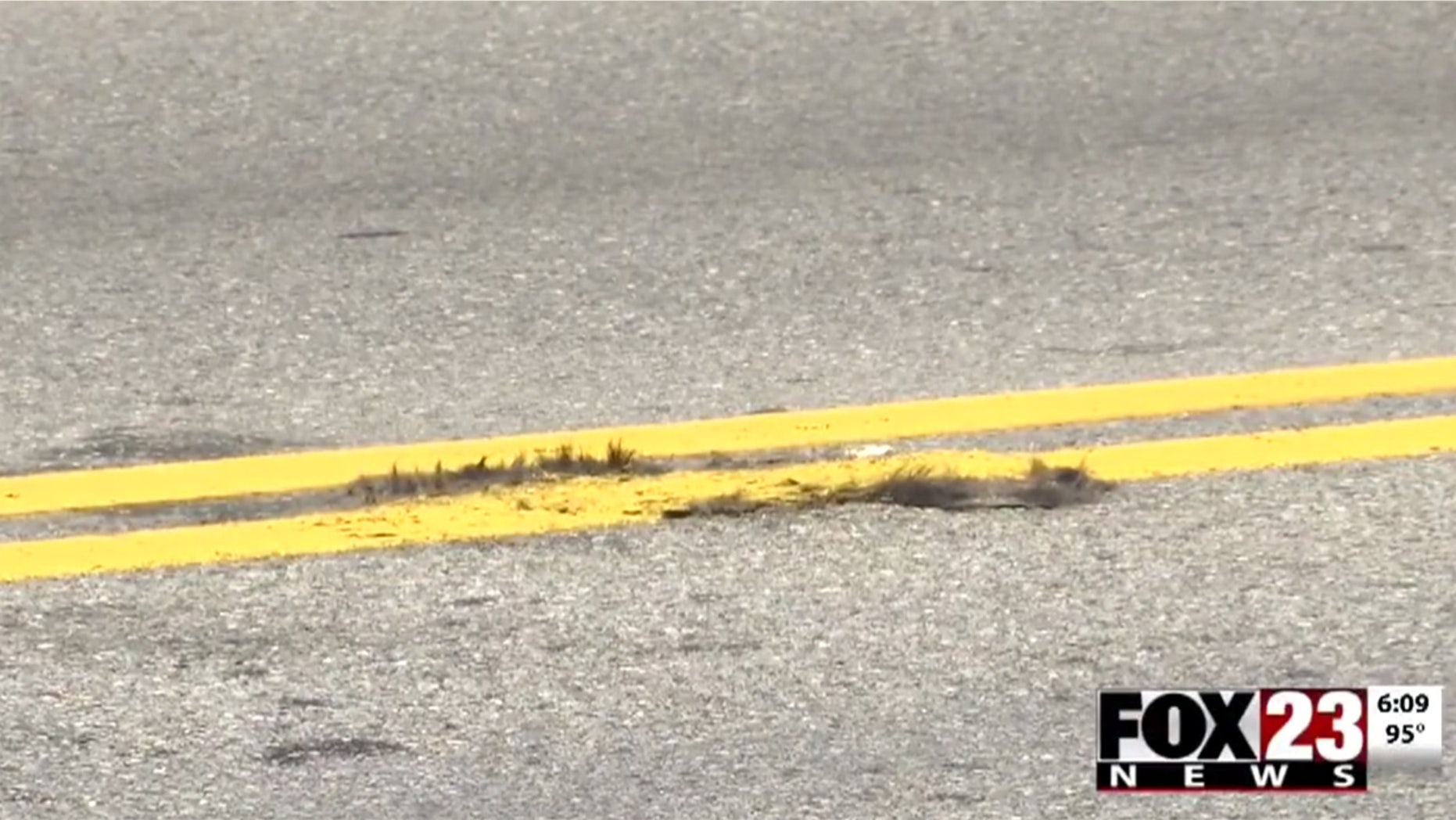 Residents in north Tulsa, Oklahoma told FOX 23 News work crews painted over roadkill on a city street.