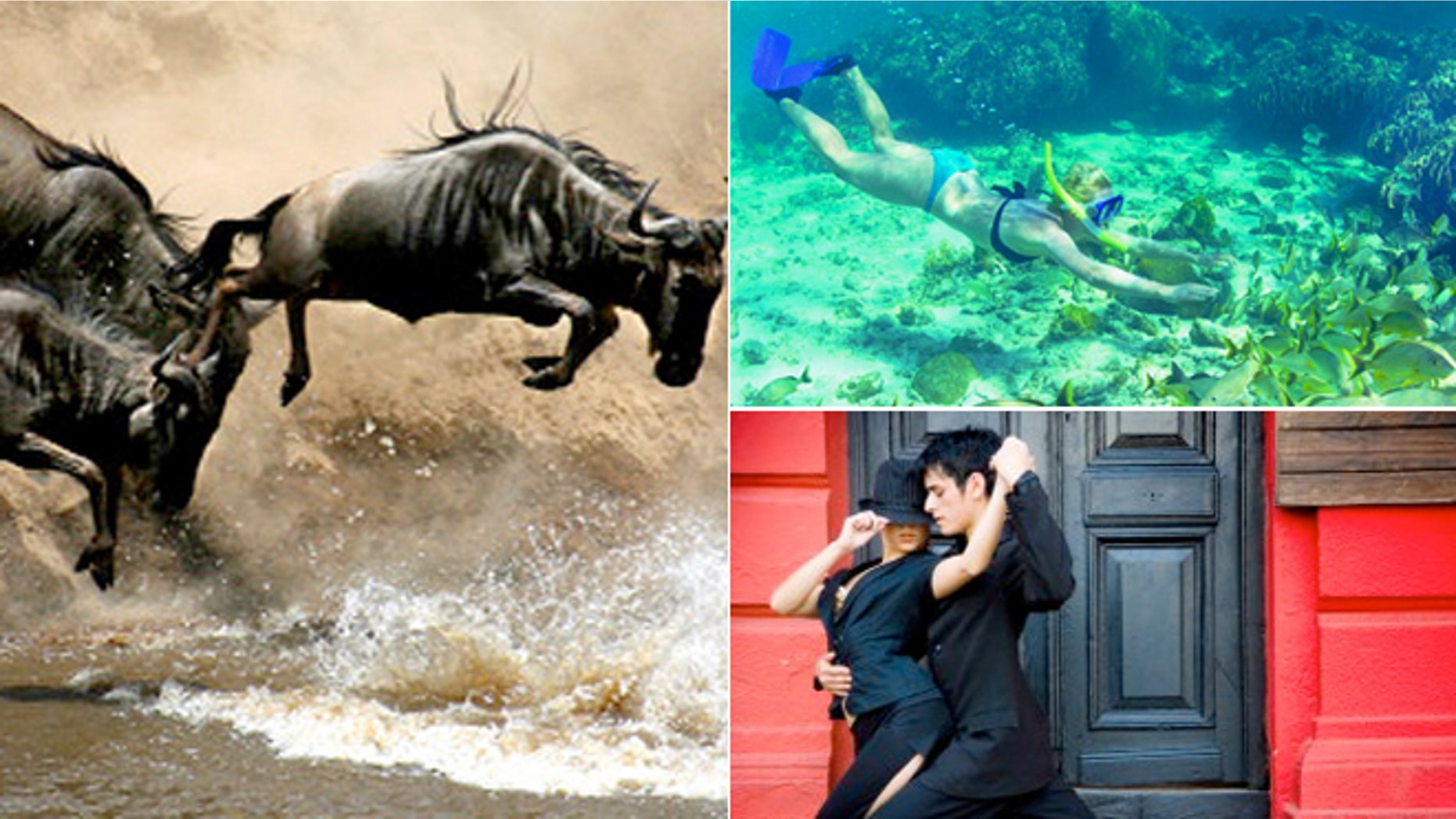 Taking a safari in Kenya, taking tango classes in Buenos Aires or snorkeling in Belize are just a few things to do at least once in your life.