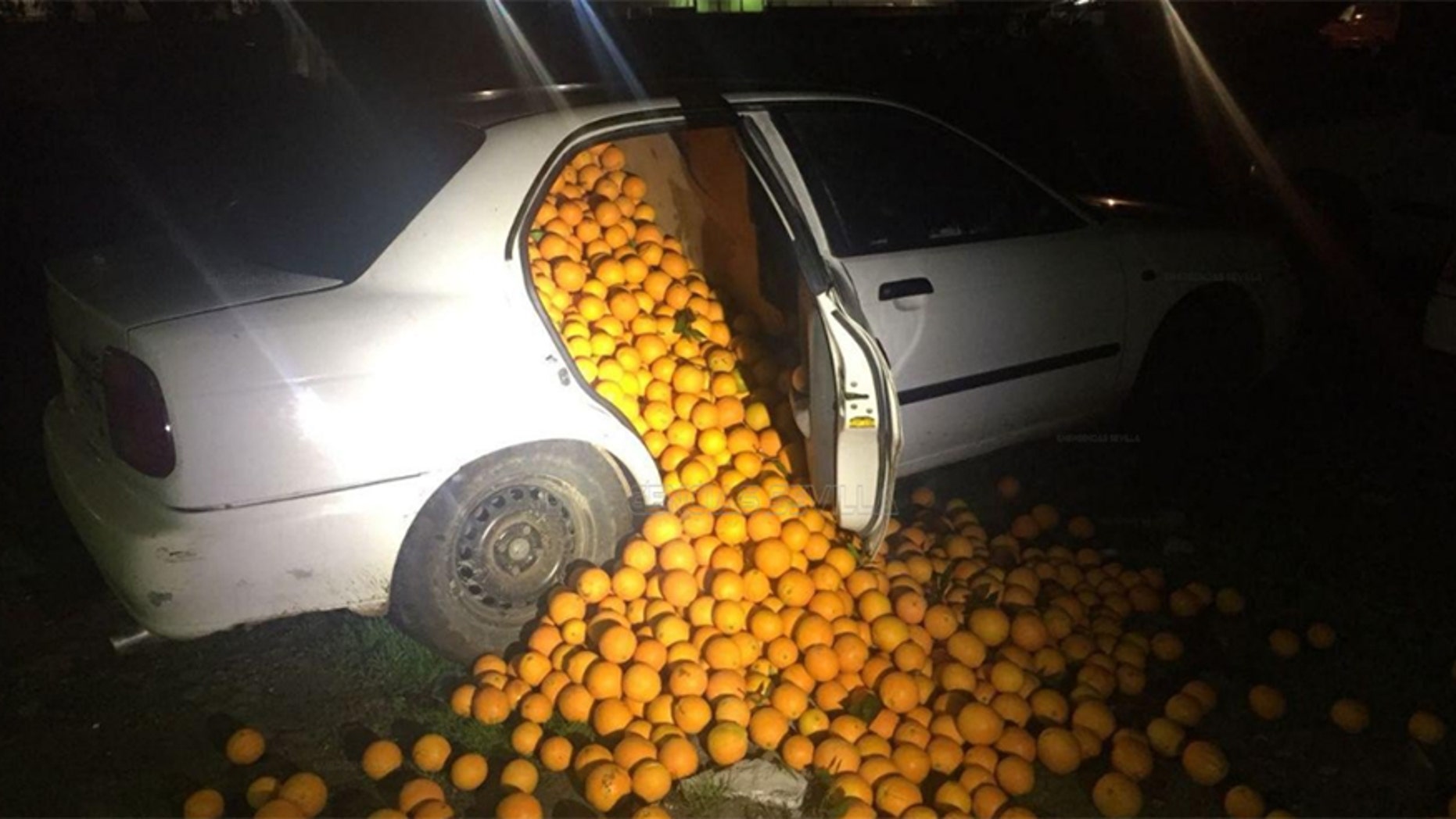 Police in Seville, Spain found 9,000 pounds of stolen oranges stuffed into three vehicle.