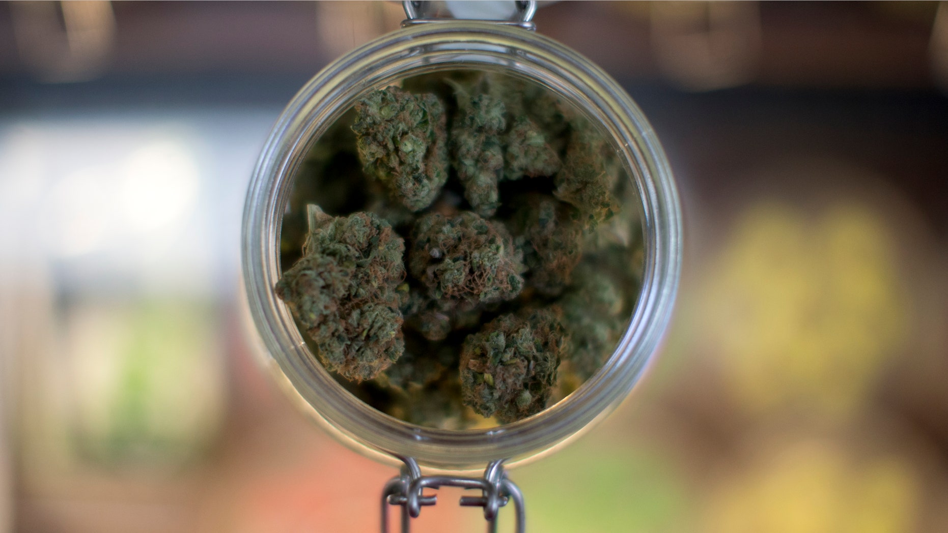 Sept. 11, 2014: A sample of marijuana is shown inside the dispensary at Collective Awakenings on in Portland, Ore.