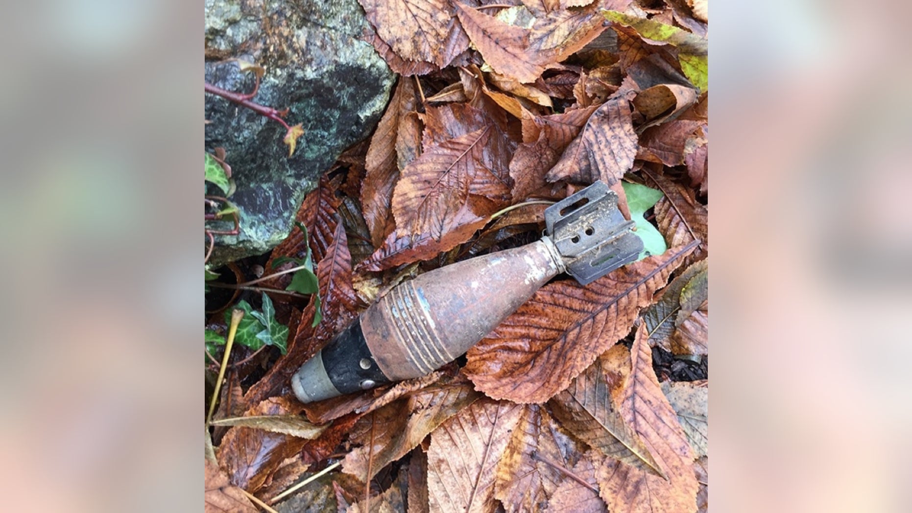 Members of an Explosive Ordnance Disposal unit in Oregon successfully detonated a live "World War II-style mortar shell," the sheriff's office said.