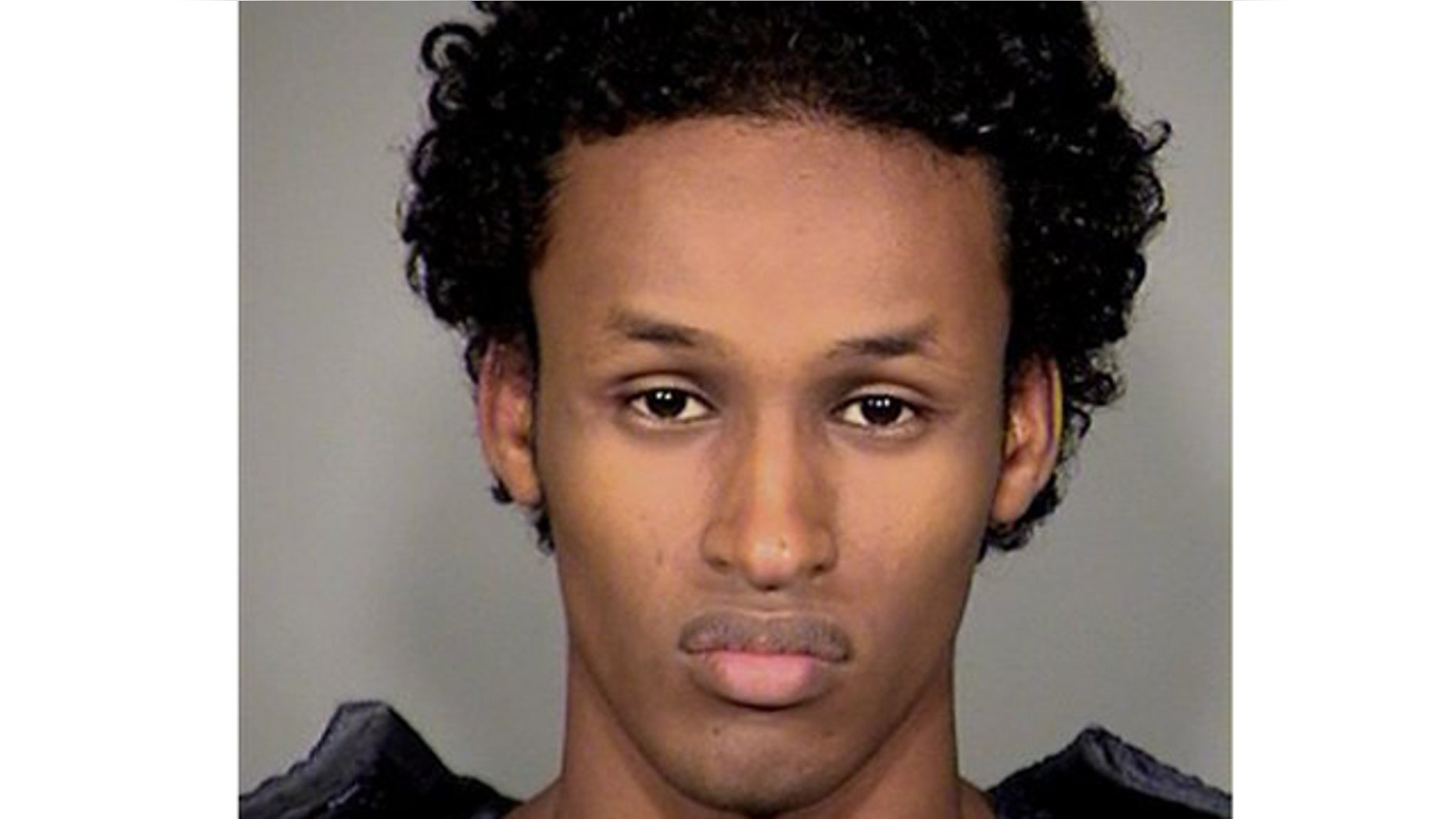 Nov. 27: Somali-born Mohamed Osman Mohamud, 19, was arrested in a sting operation as he tried blowing up a van full of what he believed were explosives at a crowded Christmas tree lighting ceremony, federal authorities said.