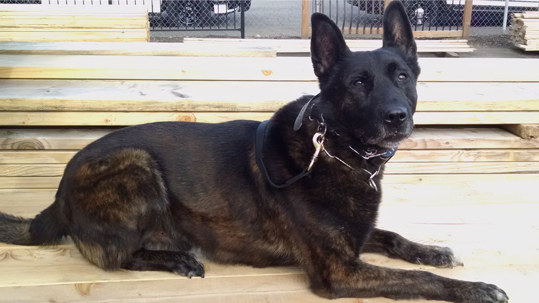 The Clackamas County Sheriff’s Office says K9 Spencer took down 3 suspects in 90 minutes.