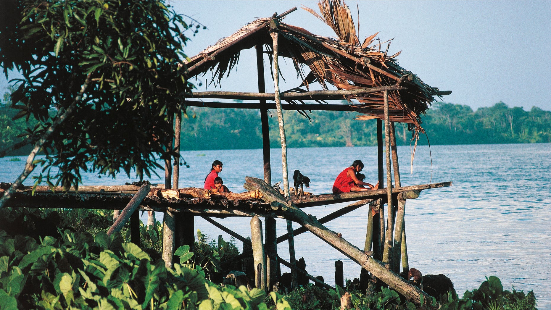 House on stilts of the Murako tribe, Orinoco delta, Delta Amacuro State, Venezuela.