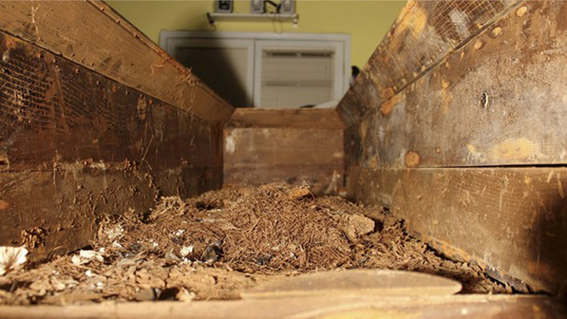 The coffin of suspected assassin of President John F. Kennedy, Lee Harvey Oswald, is shown in this undated handout image (Reuters)