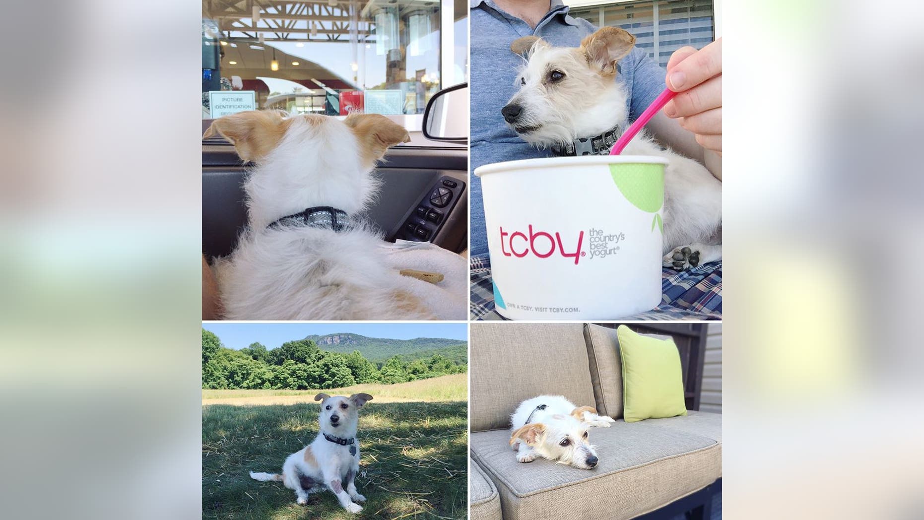 Otis is pictured during his "bucket list weekend"