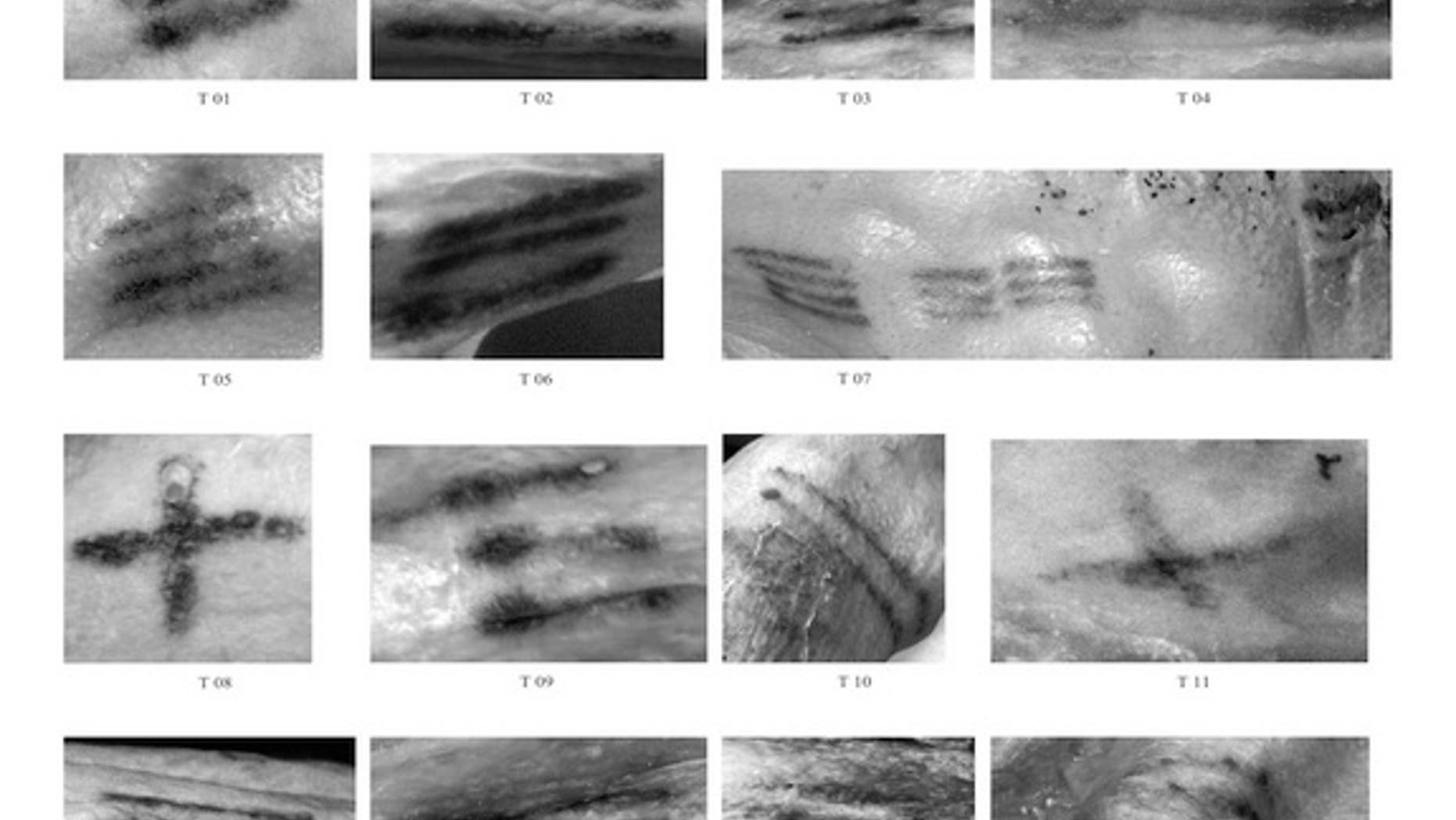 The 61 lines that make up the tattoos on Ötzi, a 5,300-year-old iceman found in the Italian Alps in 1991.