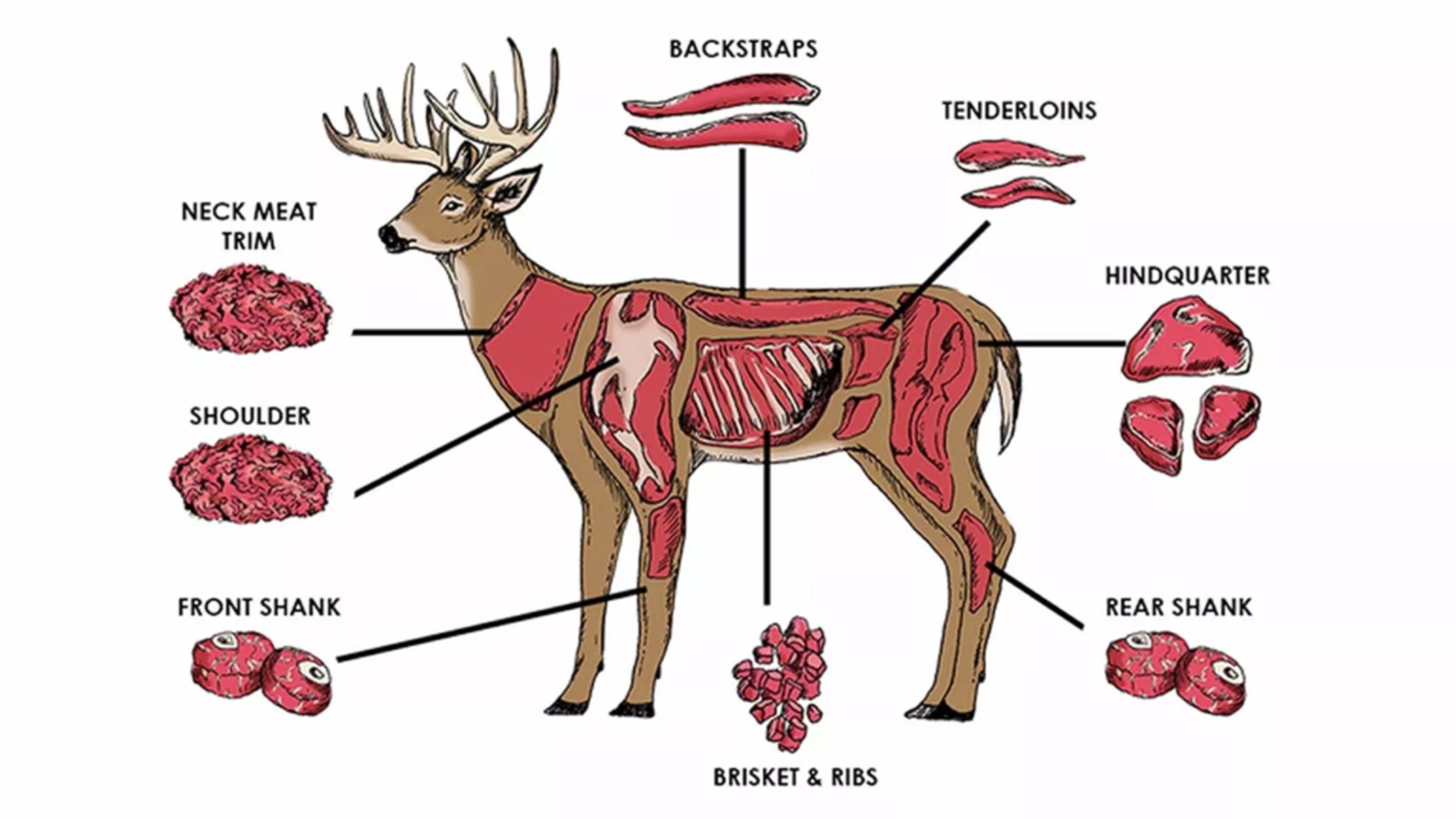 How to cook venison — and what you should make with each cut of meat