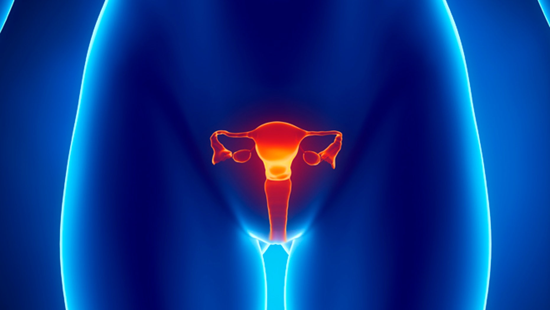 12 Facts You Should Know About Ovarian Cysts Fox News   Ovaries667 