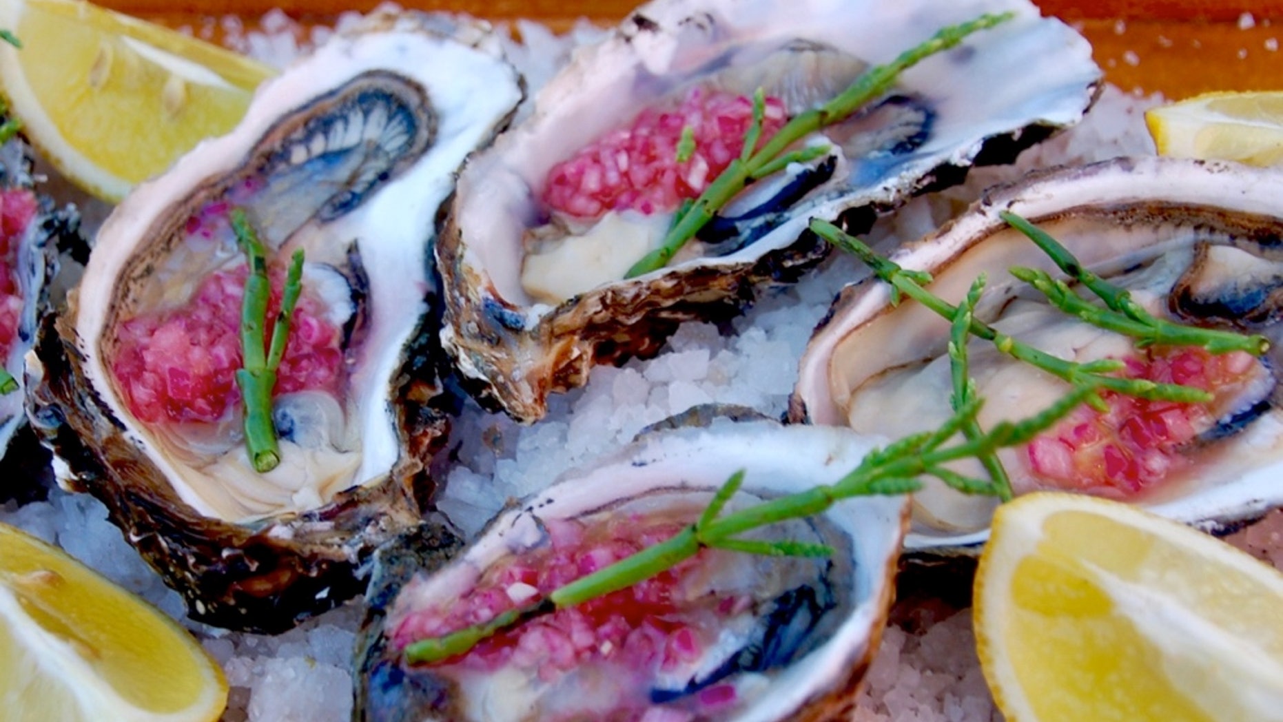 Pacific oysters at El Clavo, Valle de Guadalupe (AGringoInMexico.com)