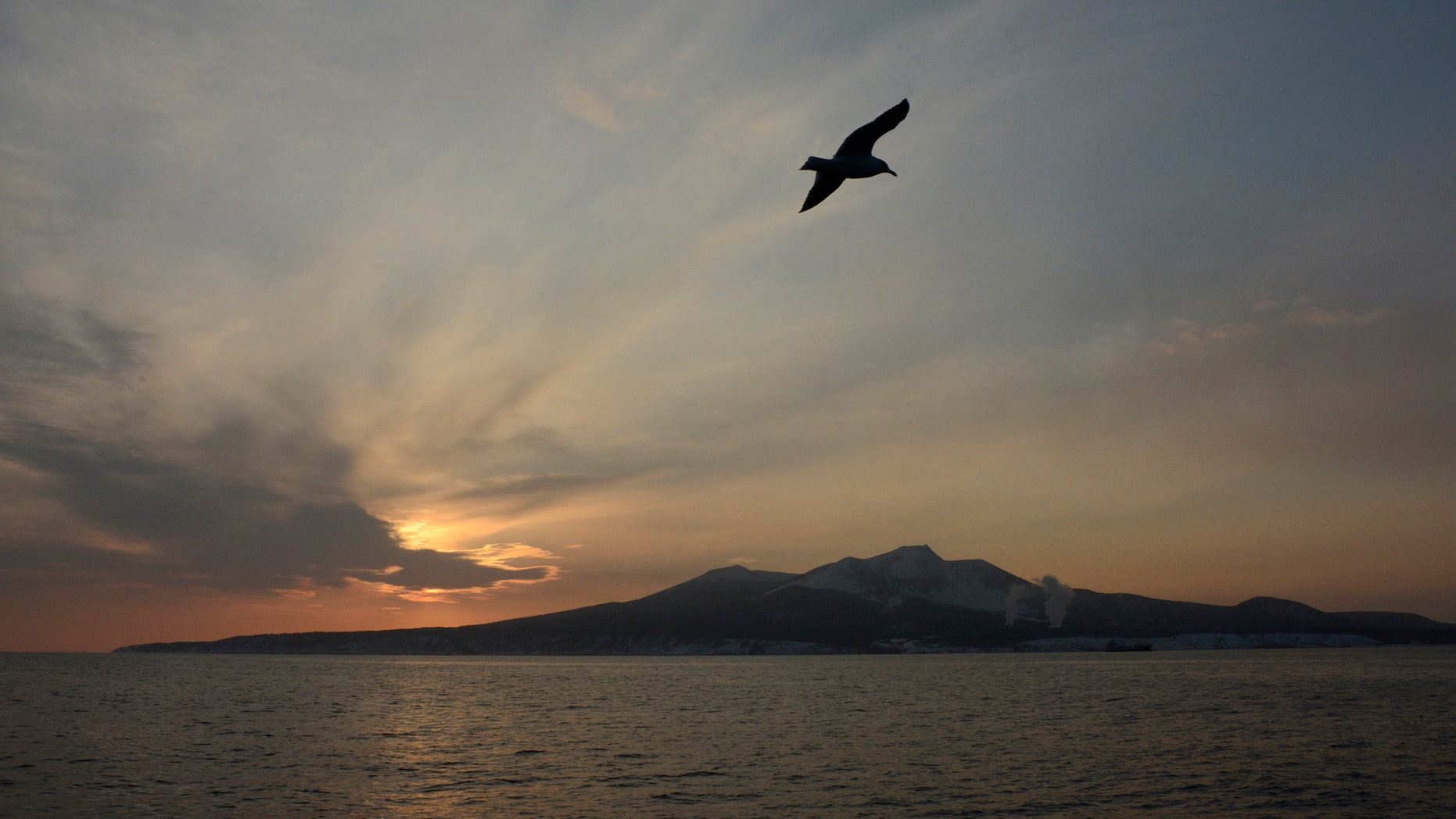 File photo - A seagull flies above the waters of the Pacific Ocean near the Island of Kunashir, one of four islands known as the Southern Kuriles in Russia and the Northern Territories in Japan, Dec. 20, 2016. (REUTERS/Yuri Maltsev)