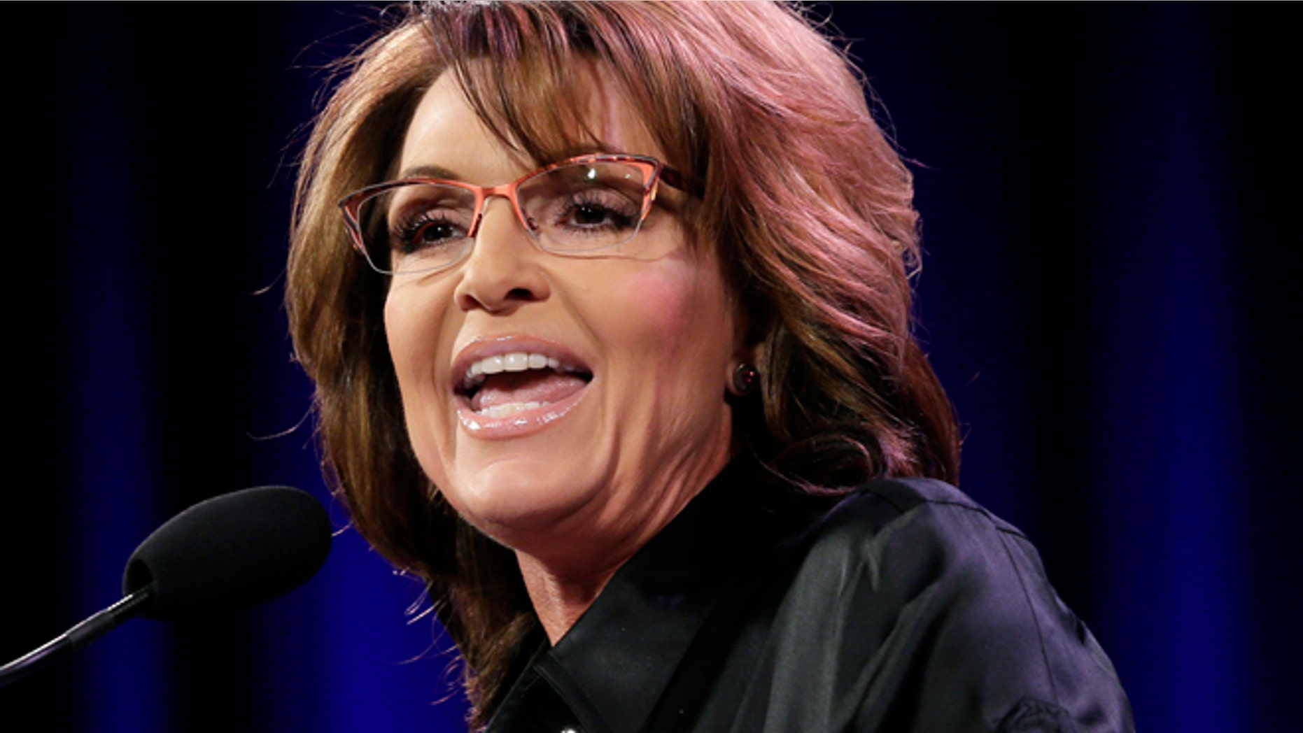 Jan. 24, 2015: Former Alaska Gov. Sarah Palin speaks during the Freedom Summit in Des Moines, Iowa. (AP)