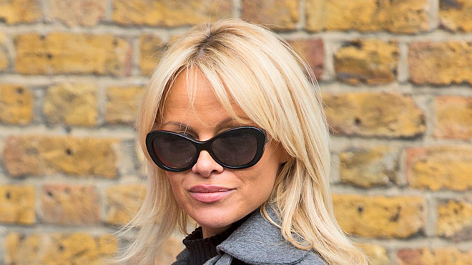 Pamela Anderson dropped off a vegan meal for WikiLeaks chief Julian Assange.