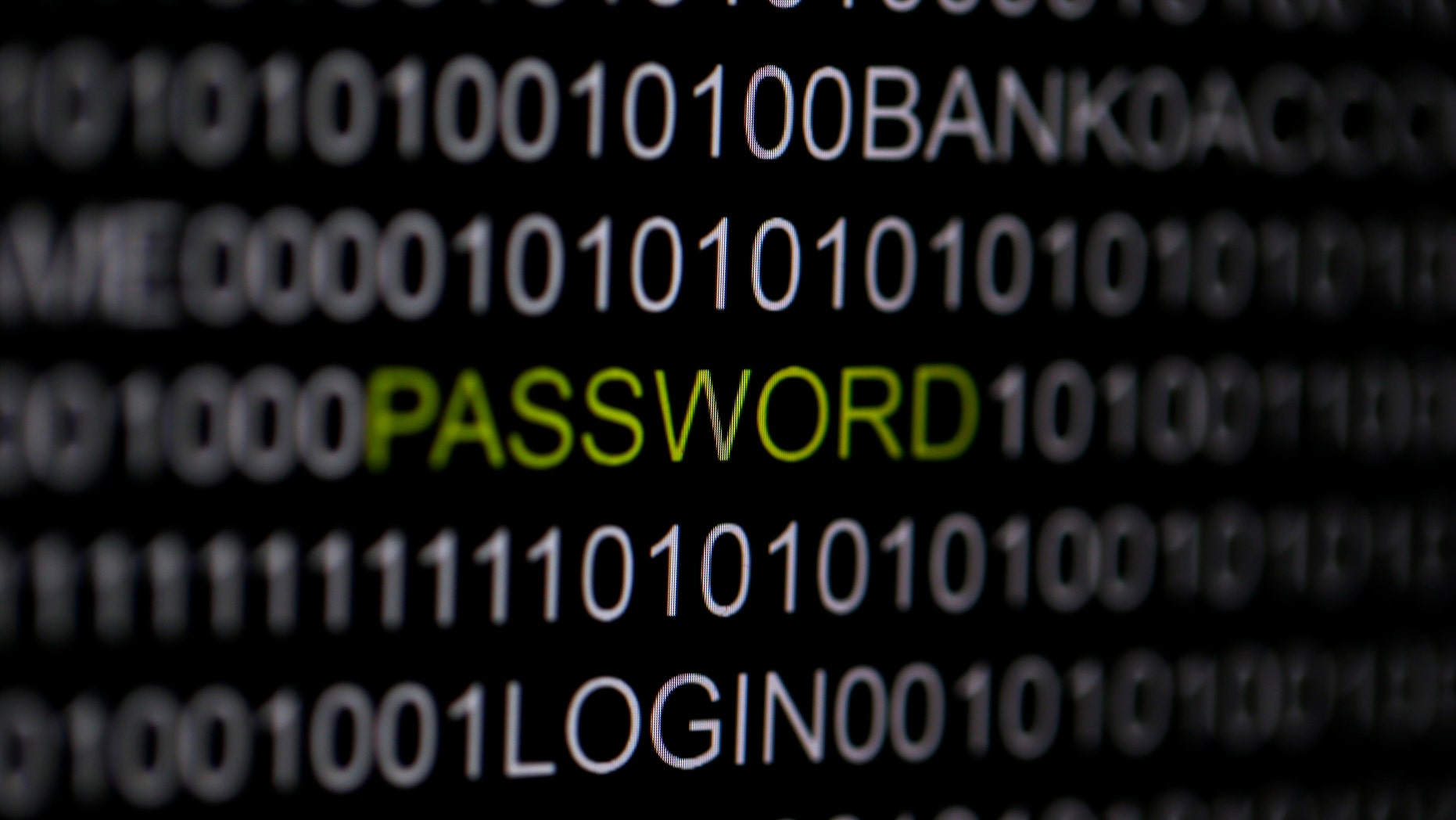The word 'password' is pictured on a computer screen in this picture illustration taken in Berlin May 21, 2013. The Financial Times' website and Twitter feeds were hacked May 17, 2013, renewing questions about whether the popular social media service has done enough to tighten security as cyber-attacks on the news media intensify. The attack is the latest in which hackers commandeered the Twitter account of a prominent news organization to push their agenda. Twitter's 200 million users worldwide send out more than 400 million tweets a day, making it a potent distributor of news. REUTERS/Pawel Kopczynski (GERMANY - Tags: CRIME LAW SCIENCE TECHNOLOGY) - RTXZUYO
