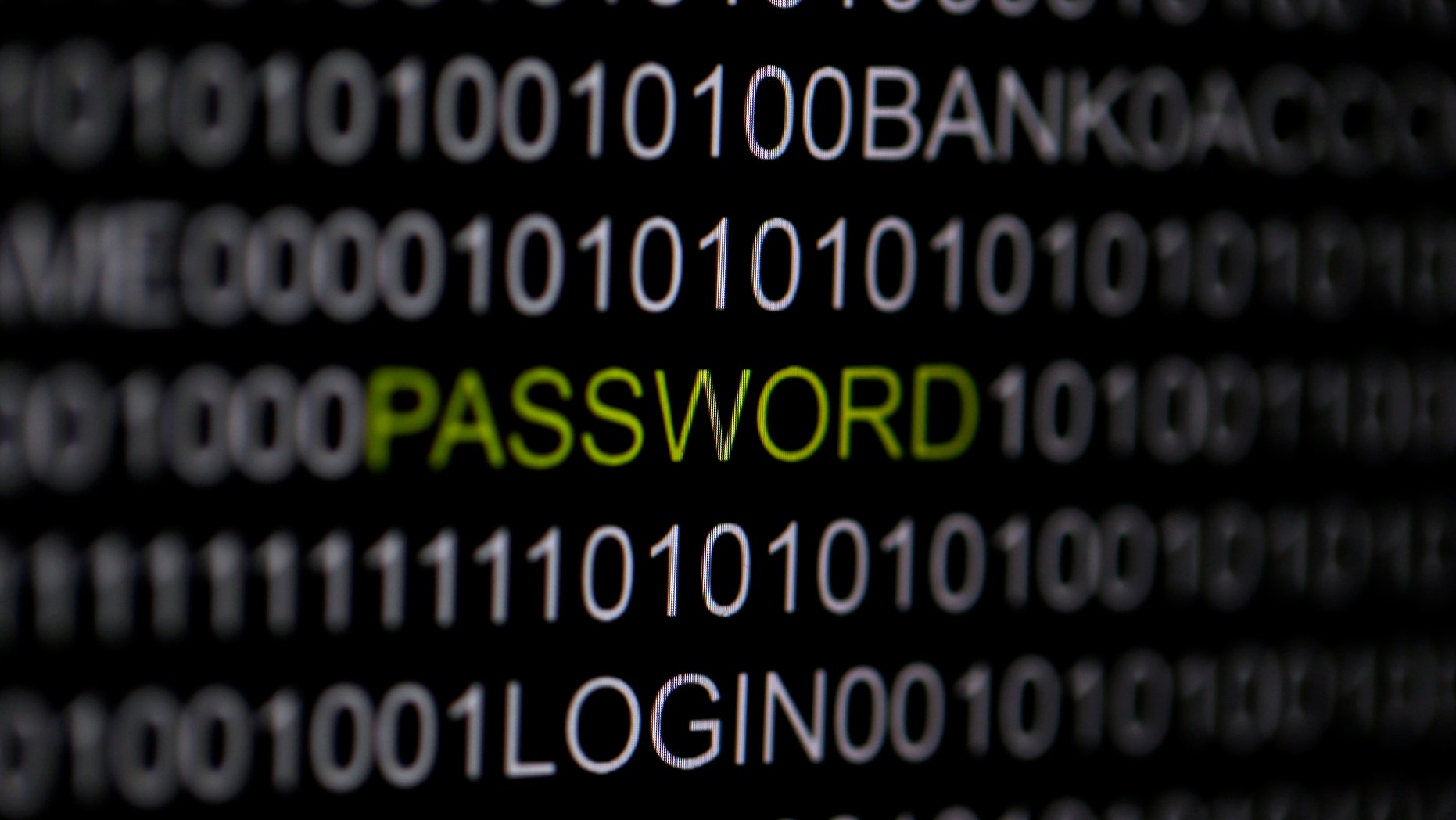 Picture illustration.