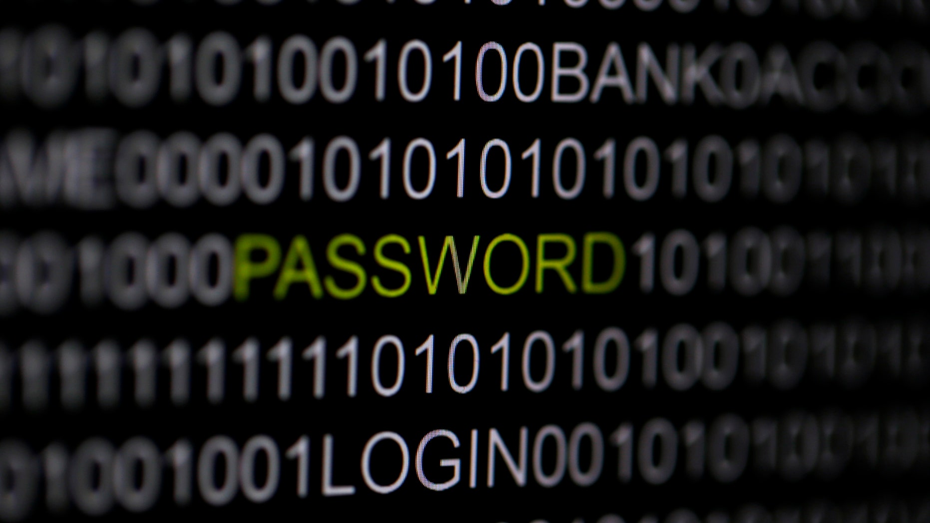 The word 'password' is pictured on a computer screen in this picture illustration taken in Berlin May 21, 2013. The Financial Times' website and Twitter feeds were hacked May 17, 2013, renewing questions about whether the popular social media service has done enough to tighten security as cyber-attacks on the news media intensify. The attack is the latest in which hackers commandeered the Twitter account of a prominent news organization to push their agenda. Twitter's 200 million users worldwide send out more than 400 million tweets a day, making it a potent distributor of news. REUTERS/Pawel Kopczynski (GERMANY - Tags: CRIME LAW SCIENCE TECHNOLOGY) - RTXZUYO