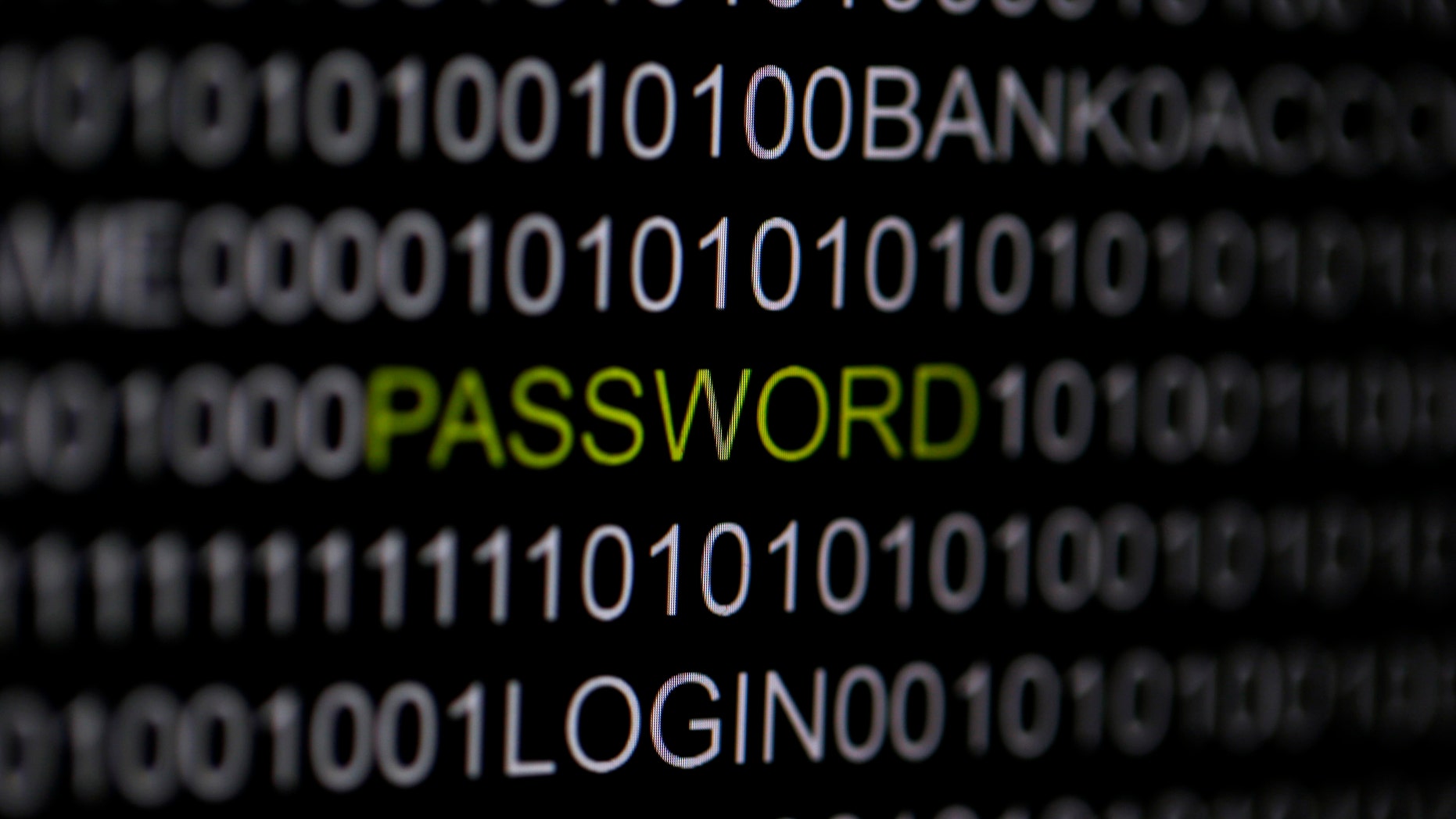 The word 'password' is pictured on a computer screen in this picture illustration taken in Berlin May 21, 2013. The Financial Times' website and Twitter feeds were hacked May 17, 2013, renewing questions about whether the popular social media service has done enough to tighten security as cyber-attacks on the news media intensify. The attack is the latest in which hackers commandeered the Twitter account of a prominent news organization to push their agenda. Twitter's 200 million users worldwide send out more than 400 million tweets a day, making it a potent distributor of news. REUTERS/Pawel Kopczynski (GERMANY - Tags: CRIME LAW SCIENCE TECHNOLOGY) - RTXZUYO