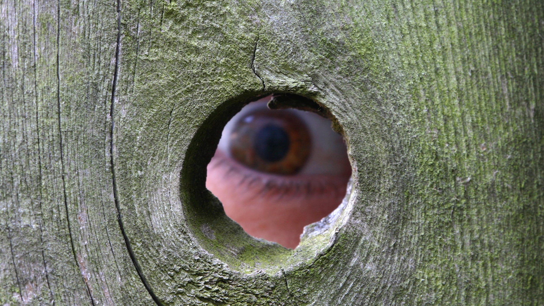 peeping-landlord