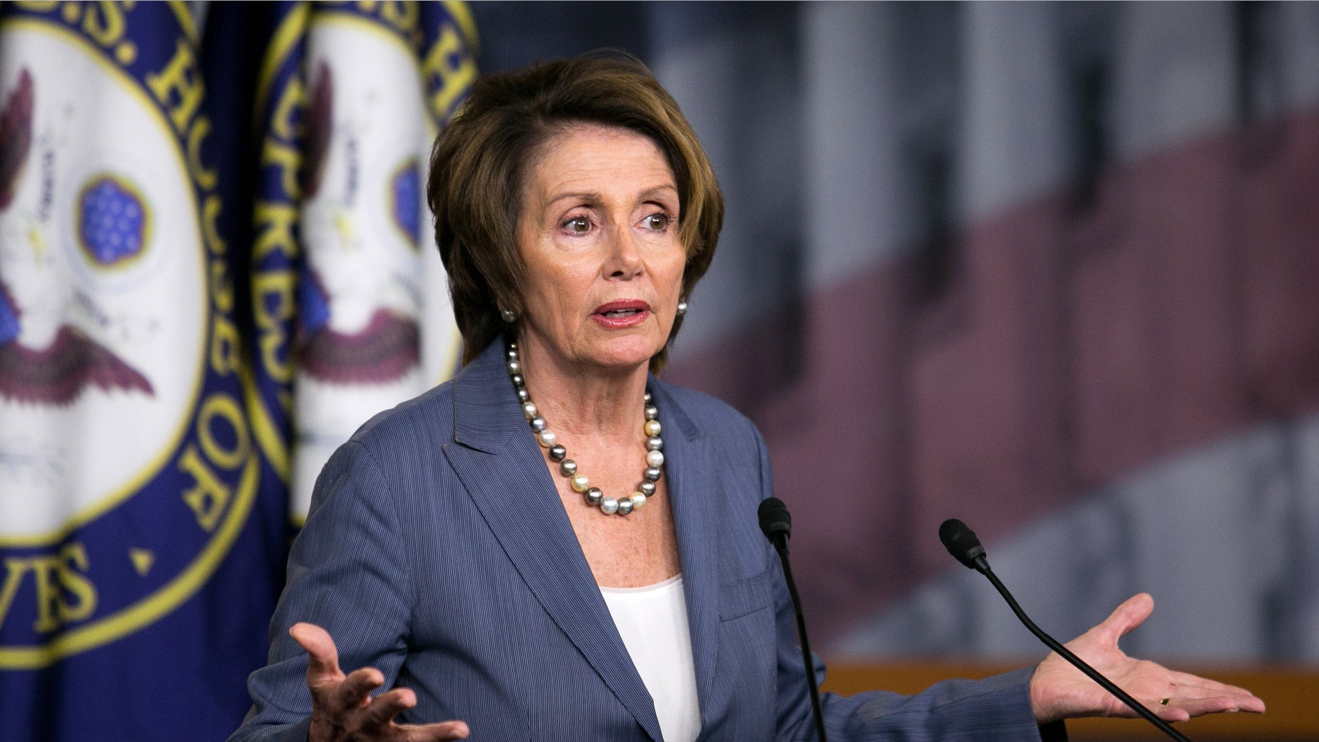 House Minority Leader Rep. Nancy Pelosi (D-CA) speaks during a news conference, on Capitol Hill.