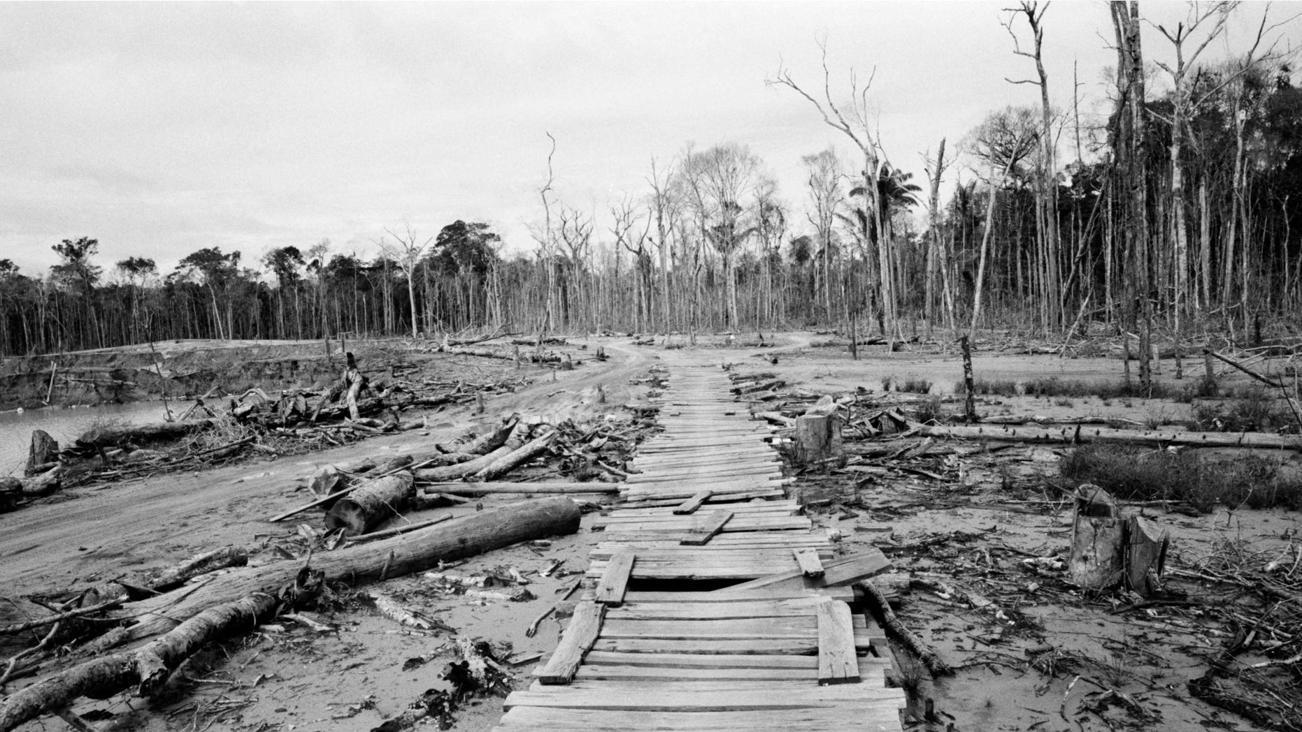 May 16, 2014: Wood slats serve as a makeshift walkway built by wildcat miners, at an abandoned mining camp, in La Pampa in Peru's Madre de Dios region.