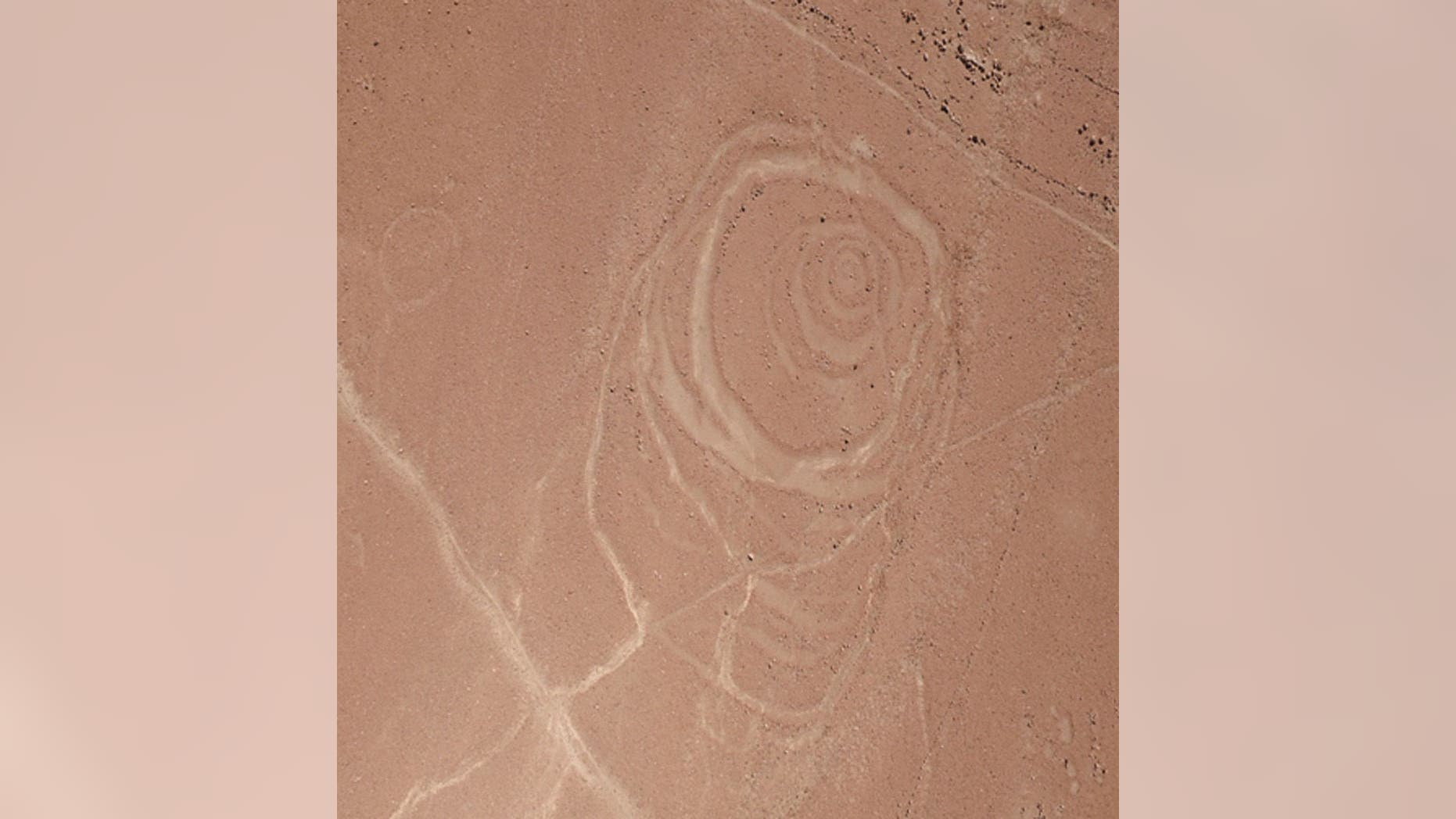 One of the complex circular geoglyphs the team mapped at Quilcapampa, in the Sihuas Valley in Peru, has at least six rings arranged in an irregular pattern. (Credit: Photo courtesy Justin Jennings)