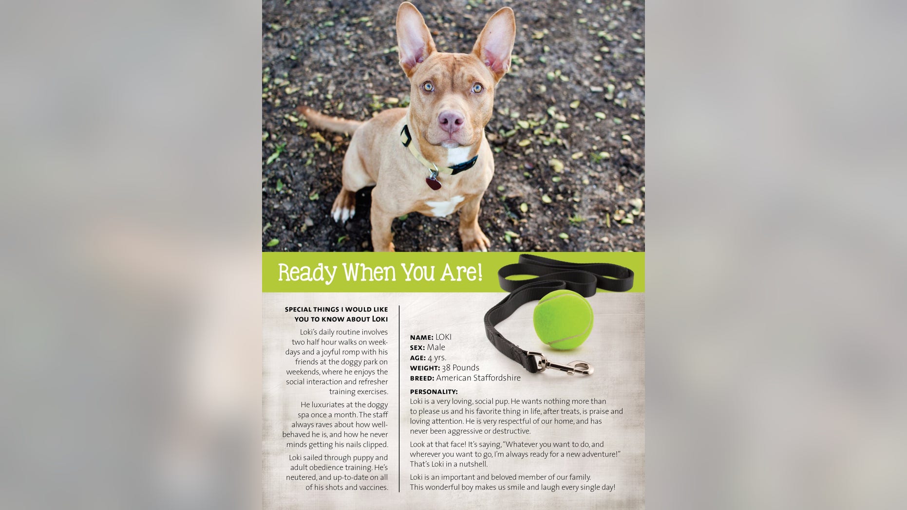 Pet resumes should highlight your pet's fun side.