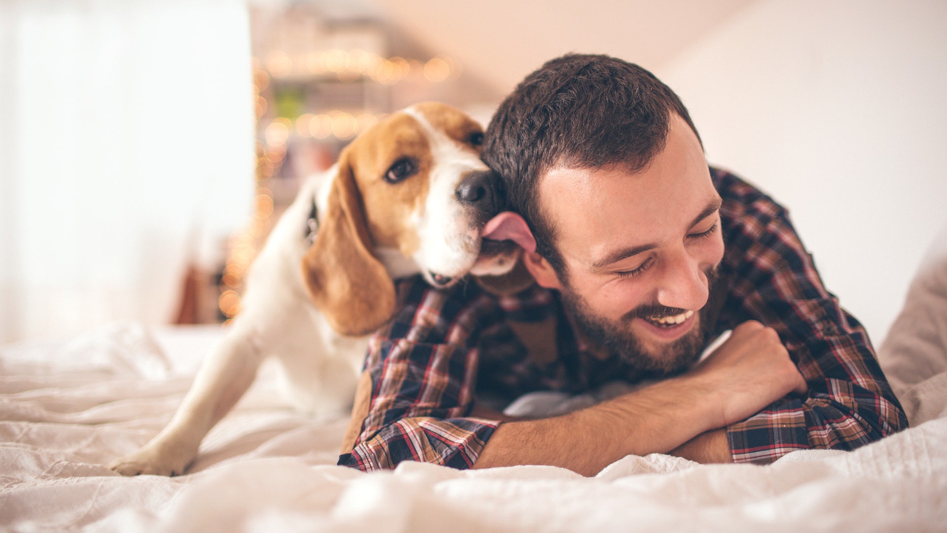 Owning dog can help boost your health in more ways than one.