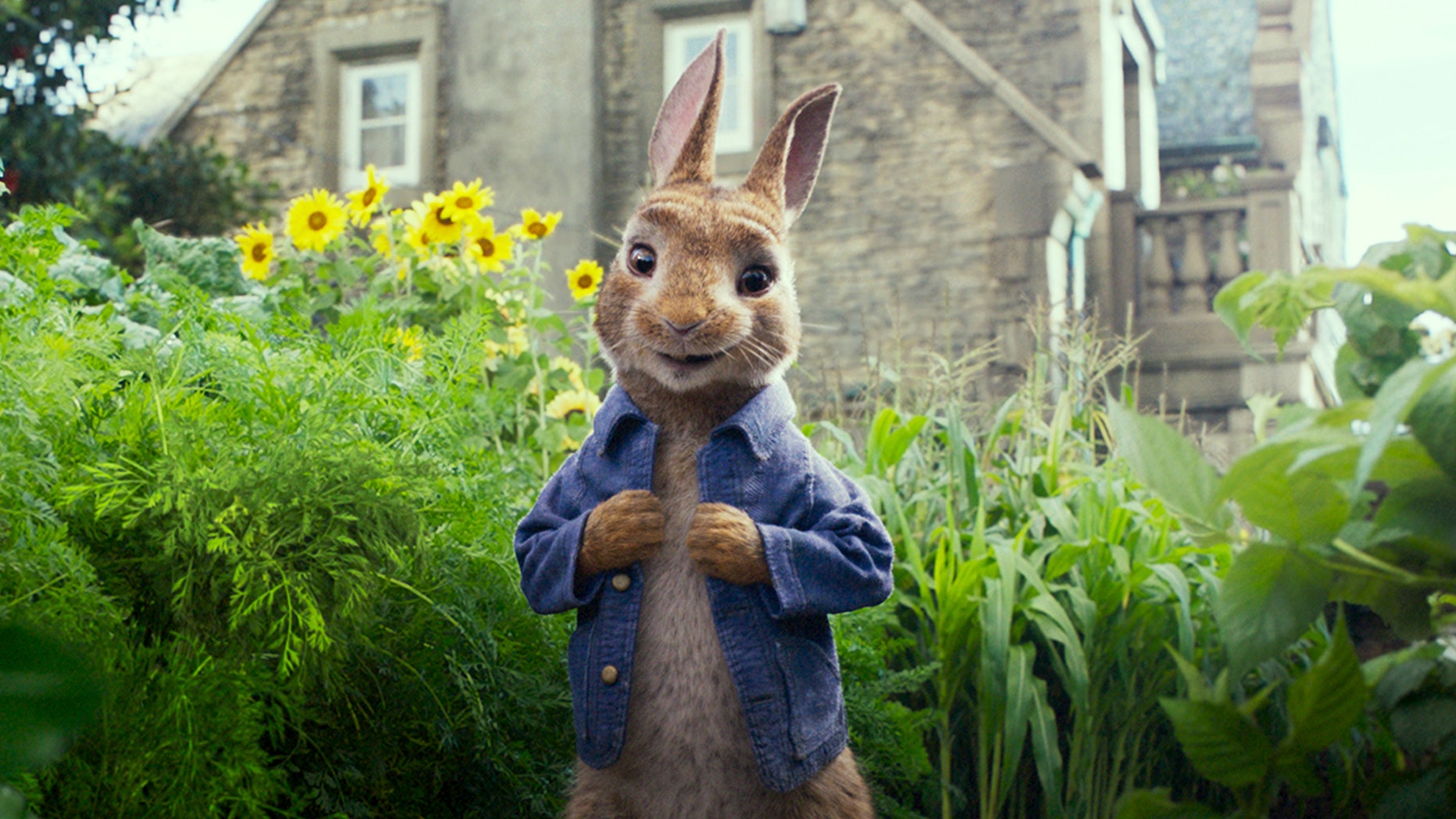 Parents are angry with Peter Rabbit after a scene shows him whip blackberries at someone with an blackberry allergy until the man falls on the floor choking.