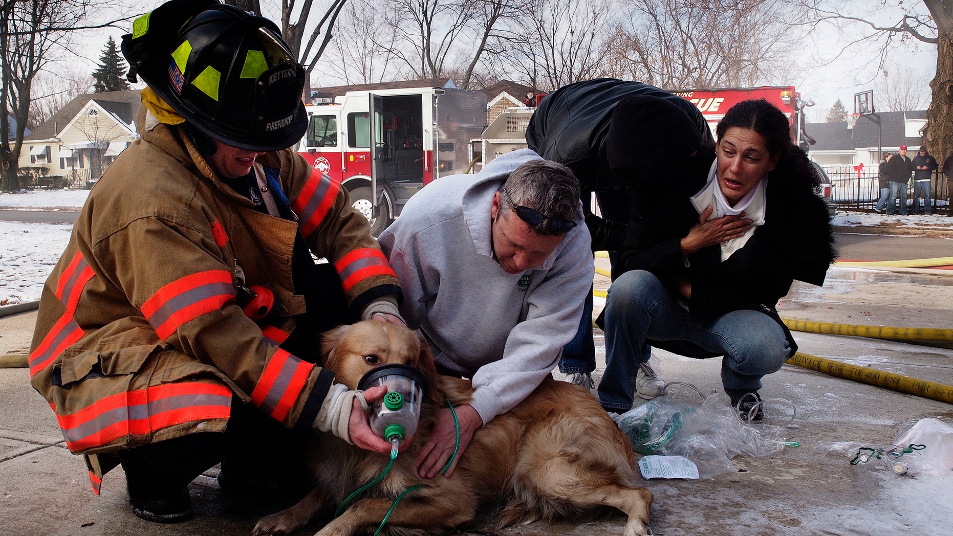 In this Dec. 9, 2010, file photo, Amira Bichara, right, gasps in relief when a golden retriever rescued from a house fire begins breathing normally, as a firefighter and resident administer oxygen in Kettering, Ohio. Under a new Ohio law taking effect Aug. 31, 2016, firefighters and EMTs can provide basic first aid to dogs and cats rescued from house fires, car accidents or other crisis situations, treatment that only licensed veterinarians could legally provide under existing law.