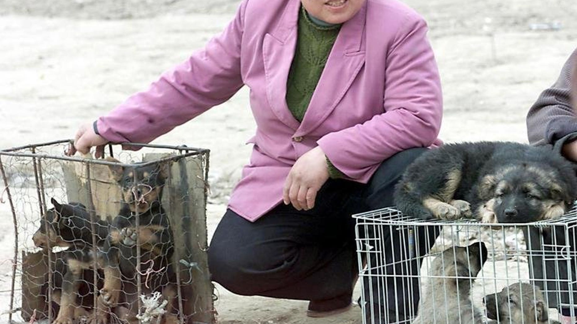 A vendor waits at a corner of a makeshift dog market in the suburb of Beijing with various mongrels in cages for sale to dog meat lovers on April 1 2001. A festival dedicated to dog meat in southern China has been targeted by protesting animal lovers, who have won a minor concession from local officials, an activist said