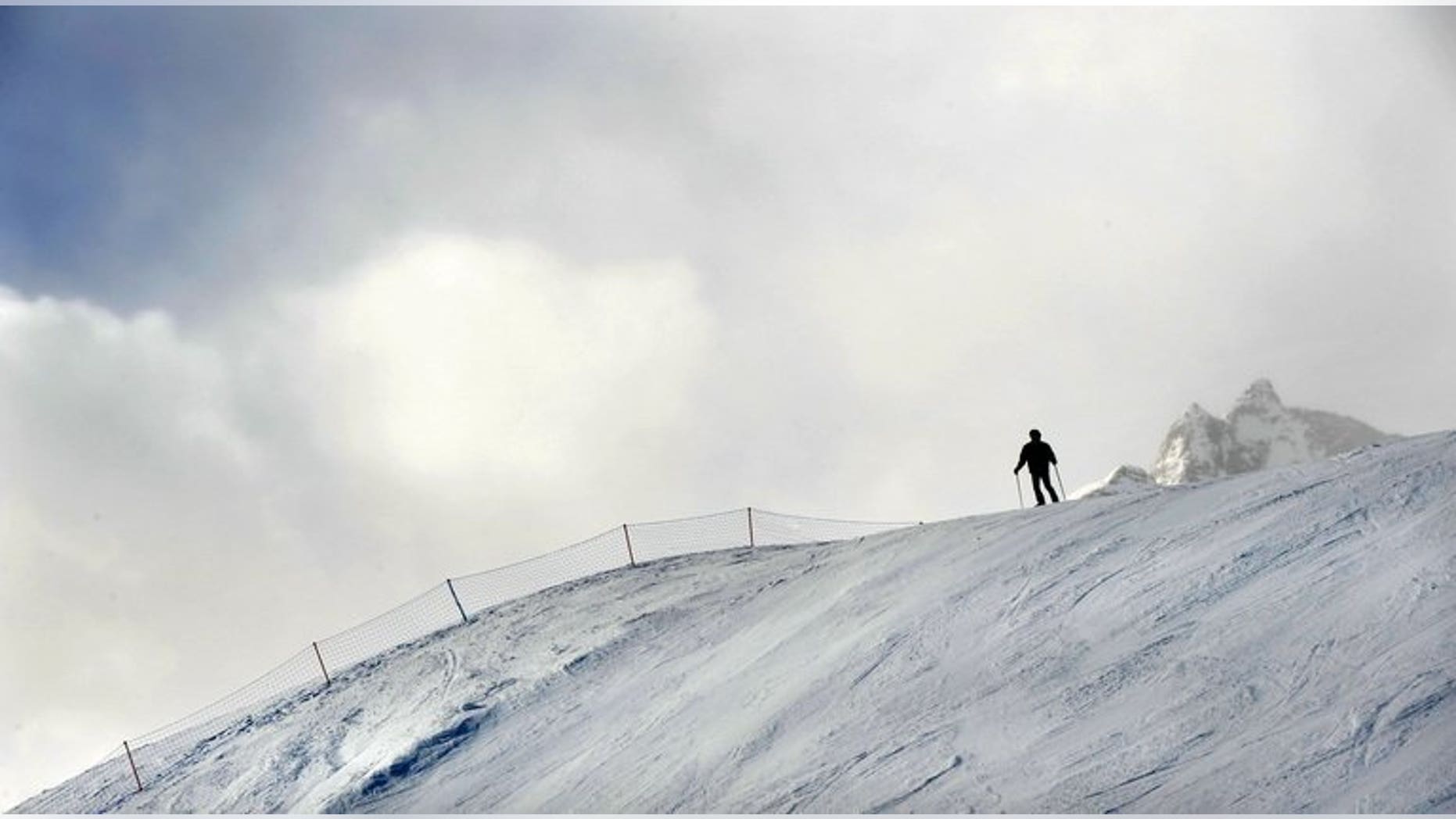 Max Gartner, Alpine Canada's chief executive, said Wednesday he will resign once a new leader is found, a change at the top coming only eight months before the 2014 Sochi Winter Olympics.