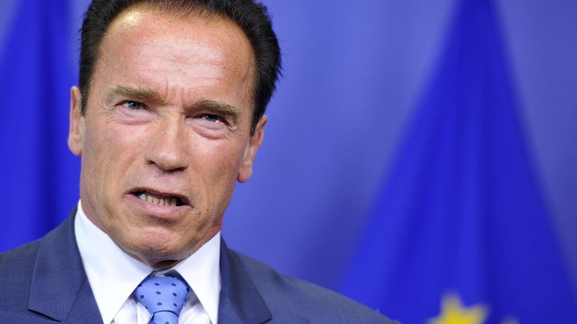 June 24, 2013 - Former Governor of California and founder of the R20 Regions of Climate Change initiative Arnold Schwarzenegger gives a joint press conference with European Commission President Jose Manuel Barroso at EU headquarters in Brussels, on . Schwarzenegger said people should be free to drive big cars and enjoy all-day jacuzzis without feeling guilty about environmental consequences.