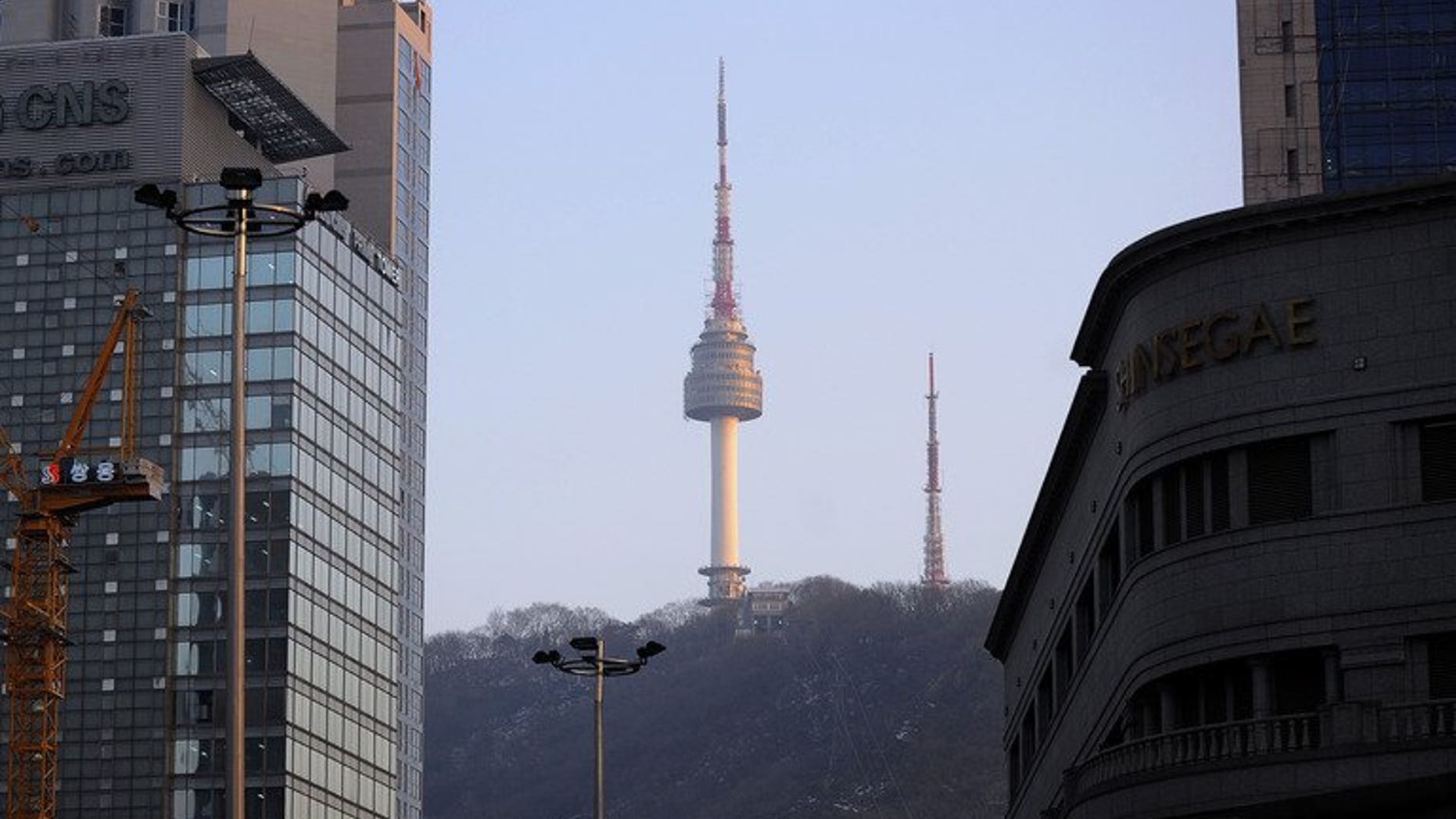 The N Seoul Tower is seen on the top of Nam mountain, on February 22, 2010. South Korea issued a cyber attack alert on Tuesday after hackers apparently penetrated a number of official websites, including the presidential Blue House, according to the science ministry.