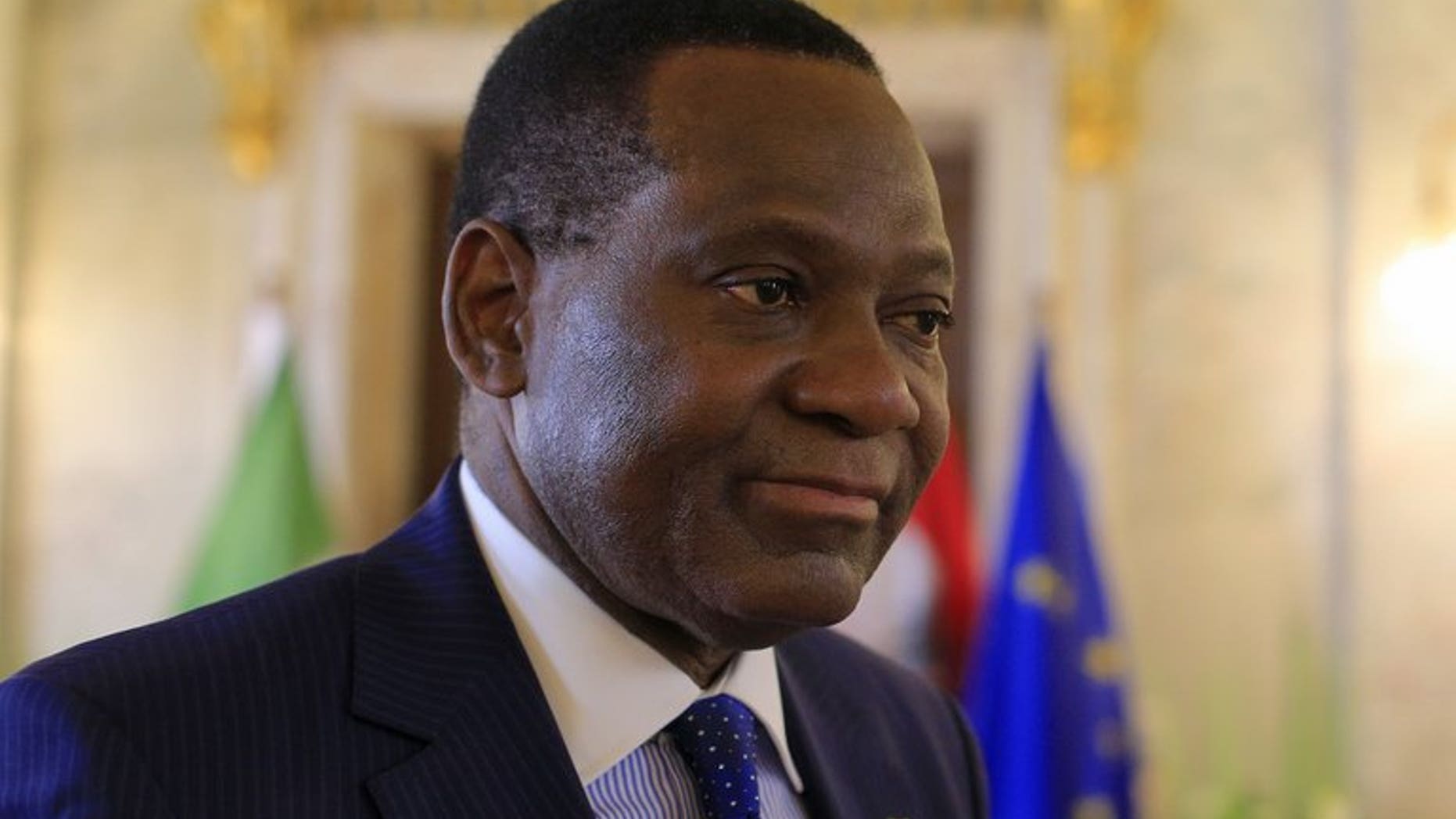 Nigeria's Foreign Minister Olugbenga Ashiru is pictured on April 8, 2013. Nigeria on Tuesday blasted as "discriminatory" a British plan to force visitors from the west African country and some other selected Commonwealth nations to provide a cash bond before they can enter Britain.
