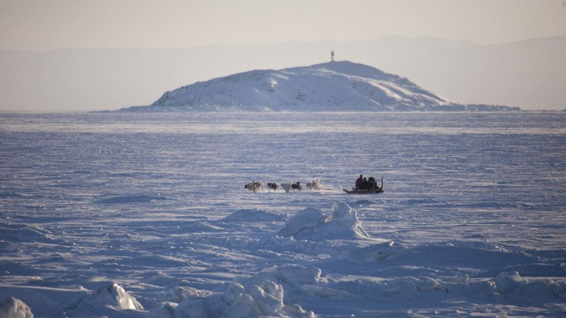 A dogsled crosses a frozen bay in Nunavut, Canada, February 5, 2010. Twenty tourists became stranded on an Arctic ice floe when the ice they were walking on broke away from land in the remote province.