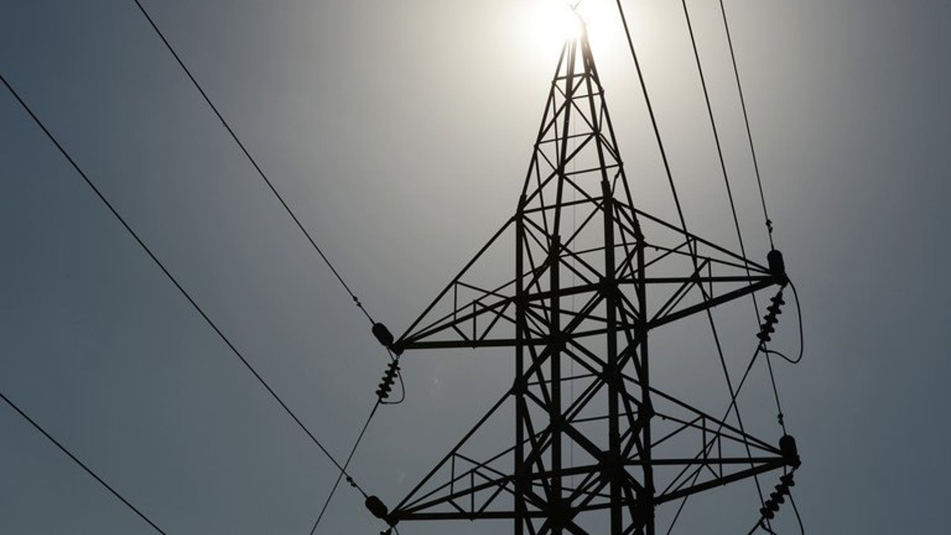 File photo. A Sri Lankan man suffered a fatal heart attack after being presented with a shocking electricity bill, a media report said.