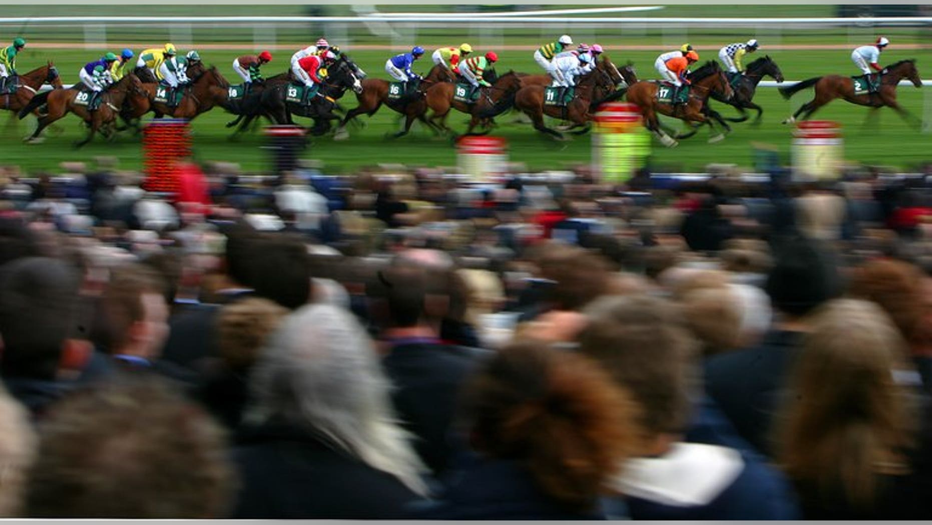 This file photo shows jockeys competing in the Handicap Hurdle race at Aintree racecourse in Liverpool, on April 5, 2008. Jockey Brian Toomey was being treated in hospital on Friday after sustaining life-threatening head injuries during a fall at Perth racecourse in Scotland.