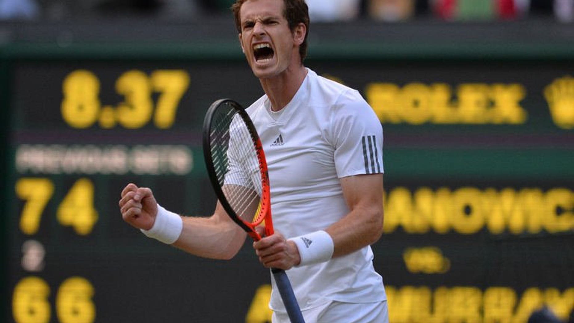 Britain's Andy Murray celebrates winning a point against Poland's Jerzy Janowicz in their men's singles semi-final match at the All England Club in Wimbledon, southwest London, on July 5, 2013. Murray took a two sets to one lead in his Wimbledon semi-final against Janowicz on Friday when he took the third set, 6-4.