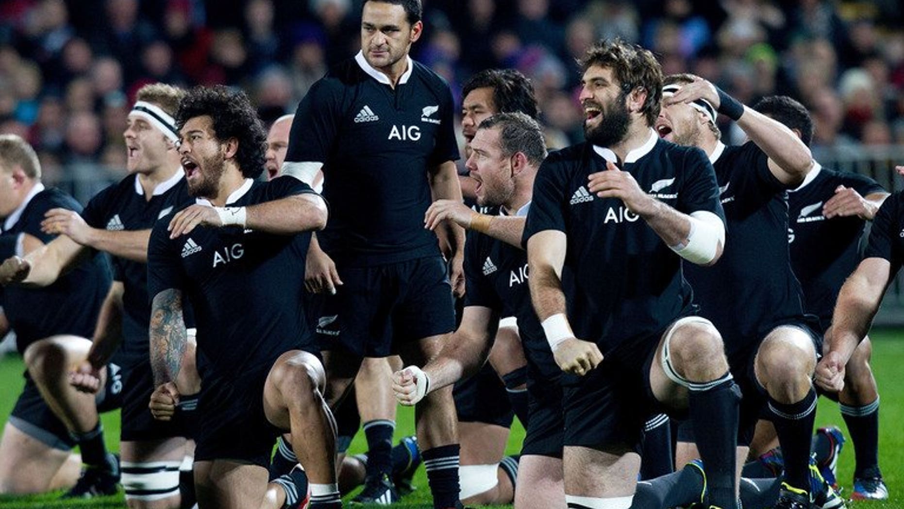 New Zealand perform the Haka before their clash with France on June 22, 2013. The All Blacks will play Japan in Tokyo in November ahead of their European tour.