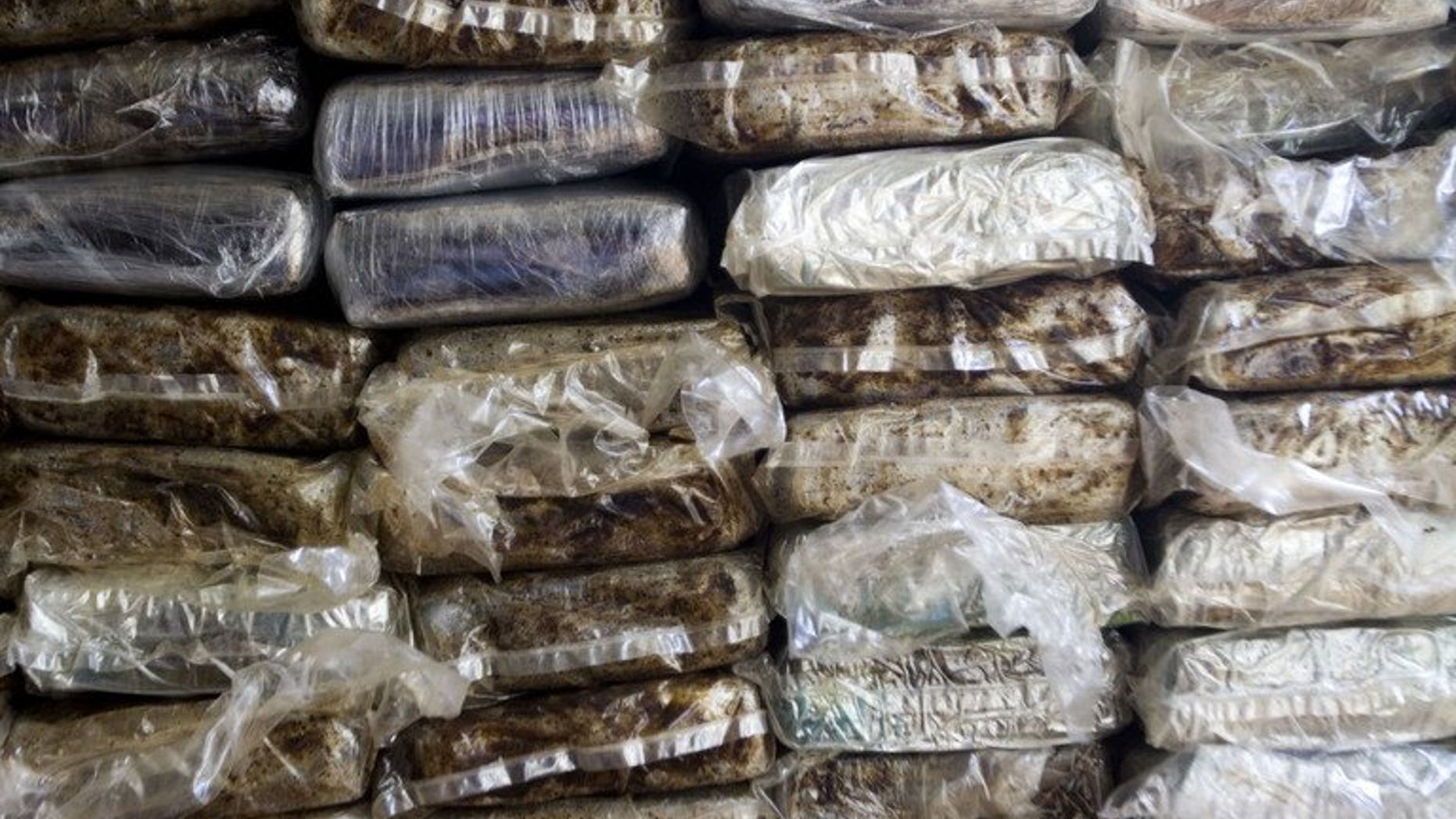Pakistani and Belgian authorities have seized cocaine and hashish worth more than $76 million in a series of drug raids in which three foreigners were arrested, Islamabad said Friday.