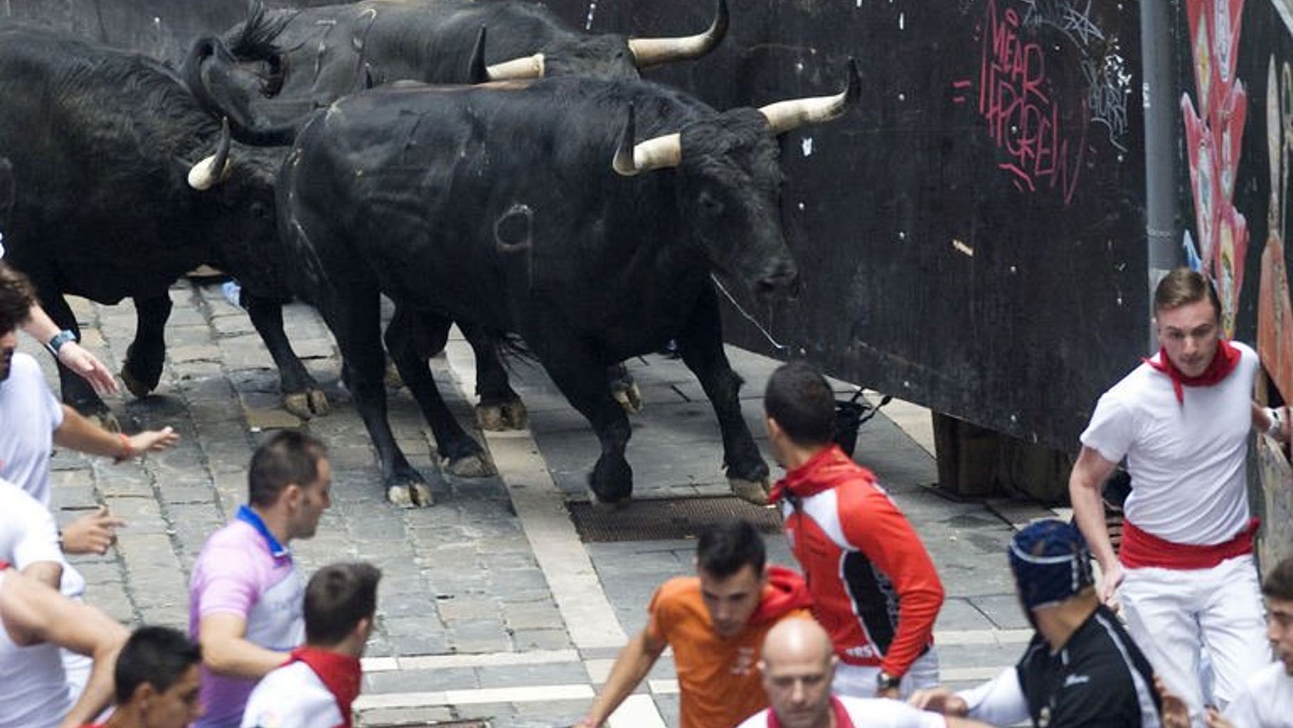 Participants run in front of the bulls during the San Fermin Festival in Pamplona, northern Spain, on July 13, 2013.