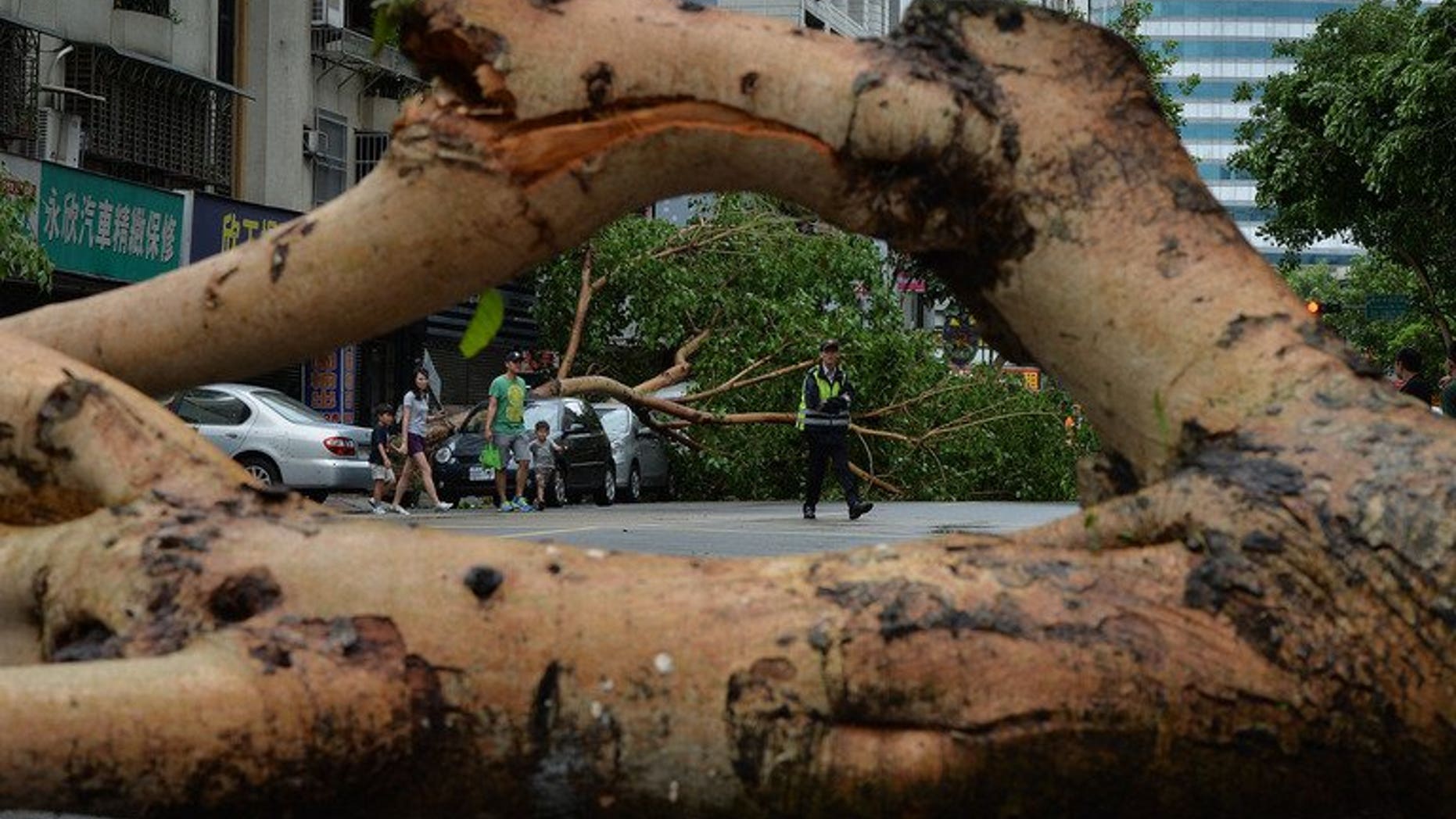 Vehicles damaged by fallen trees after Typhoon Soulik hit Taipei, on July 13, 2013. China has evacuated more than 300,000 people and drafted in thousands of soldiers as a typhoon which brought torrential rain and powerful winds to Taiwan began to batter the mainland.