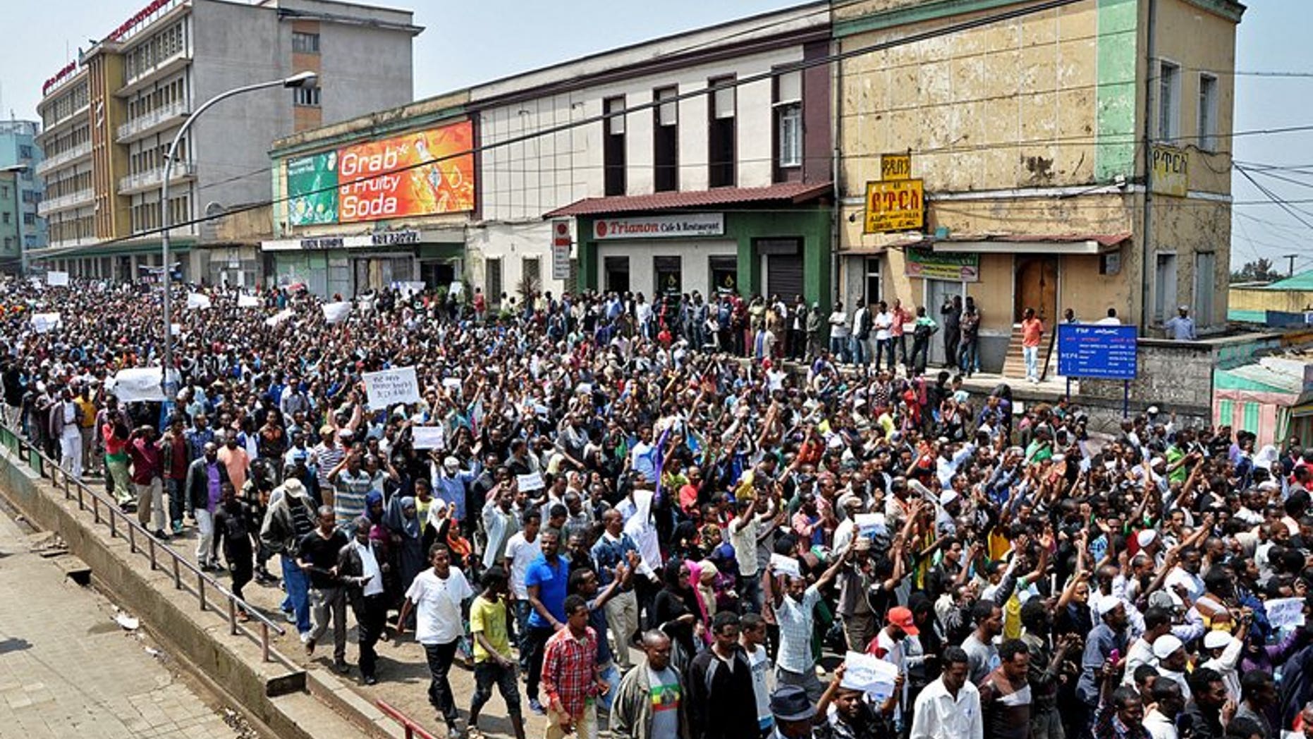 Thousands of Ethiopian opposition activists demonstrate in Addis Ababa on June 2, 2013. Activists said Saturday they will hold rare demonstrations in two northern towns calling for government reform in the tightly controlled country.