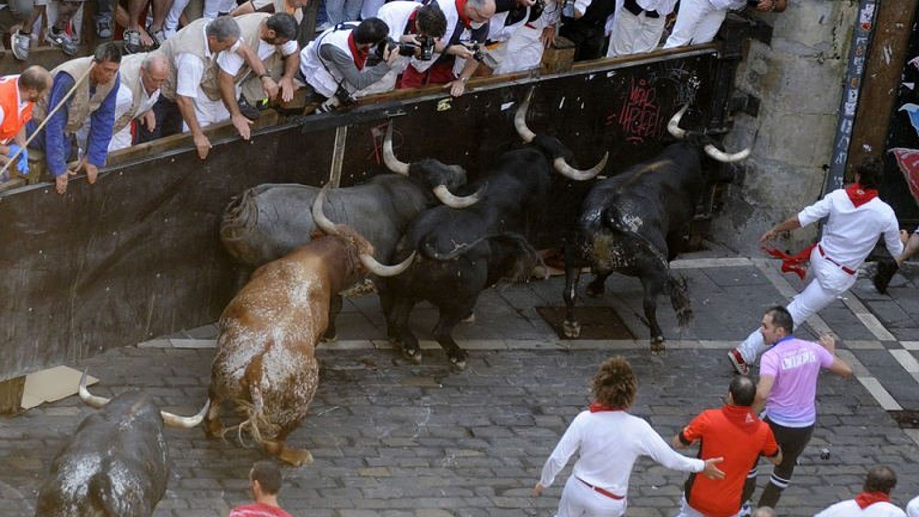 Participants run in front of bulls during the last bull run of the San Fermin Festival in Pamplona, northern Spain, on July 14, 2013. Spain's Pamplona bull-running fiesta has wrapped up with another five seriously injured, including an Australian woman who was gored, after nine days that landed a total of 50 daredevils in hospital.