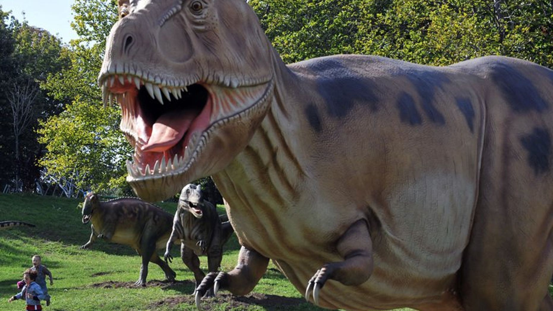 Young visitors run past dinosaurs during an open-air exhibition in Kiev in September, 2010. One in four Australians believe humans co-existed with dinosaurs while one in three think it takes just one day for the Earth to orbit the sun, according to a "worrying" survey published Wednesday.