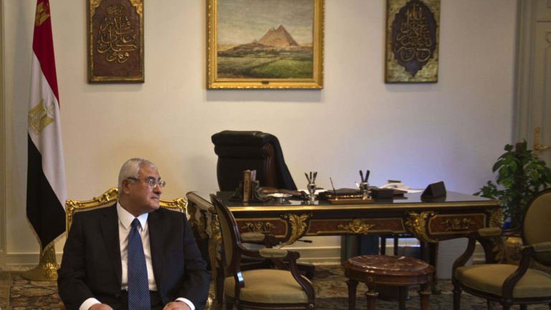 Egypt's interim president Adly Mansour, pictured in Cairo on July 15, 2013, appointed a committee of experts to amend the constitution that was suspended following the military's overthrow of president Mohamed Morsi, the presidency said.