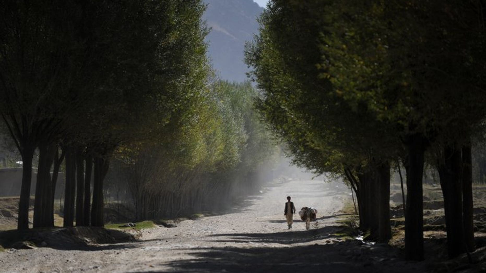 A villager walks with a donkey in Afghanistan's Badakhshan province, on October 5, 2012. A suicide bomber has riden a donkey into an Afghan and NATO military convoy, killing three Western soldiers and their Afghan interpreter, officials said.